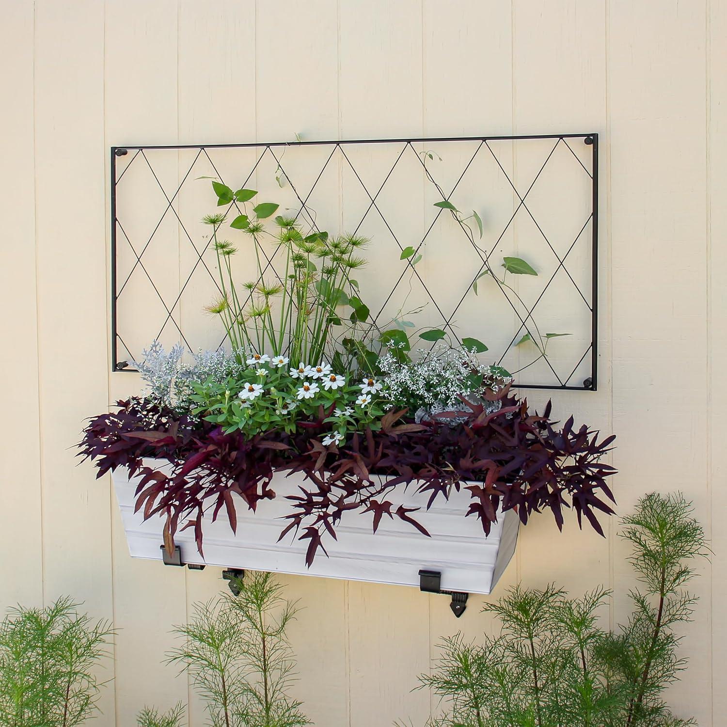 Clarence Wall-Mounted Trellis Set