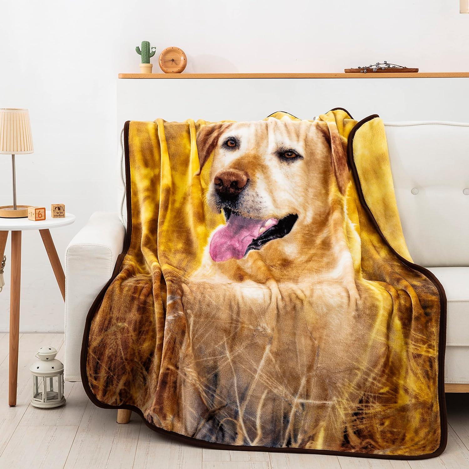 Magic Hour Yellow Lab Raschel Throw Blanket, 50 x 60 inches