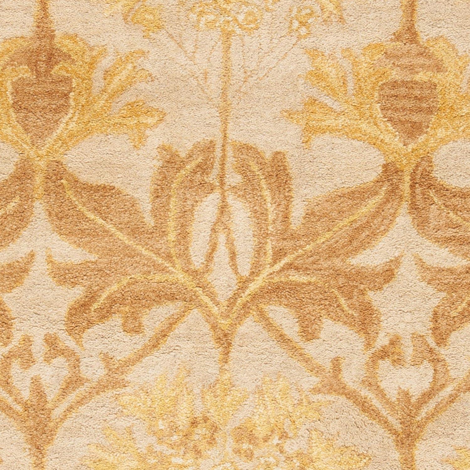 Anatolia AN541 Hand Tufted Indoor Area Rug - Beige/Gold - 5'x8' - Safavieh