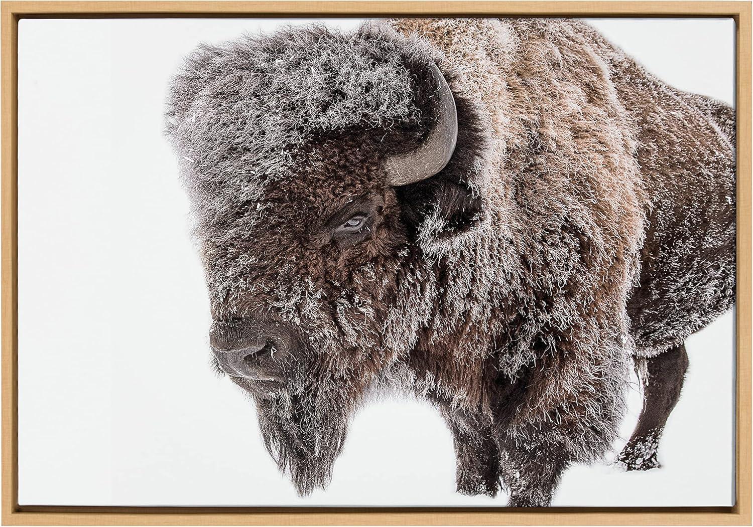 Sylvie Bison in Snow Framed Canvas by Amy Peterson Art Studio Natural - Kate & Laurel All Things Decor