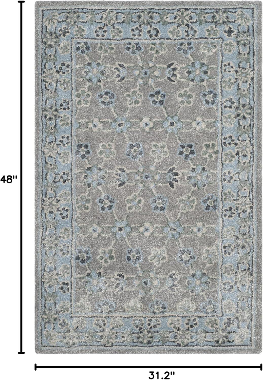 SAFAVIEH Bella Ridley Traditional Floral Wool Area Rug, Silver/Light Blue, 2'6" x 4'
