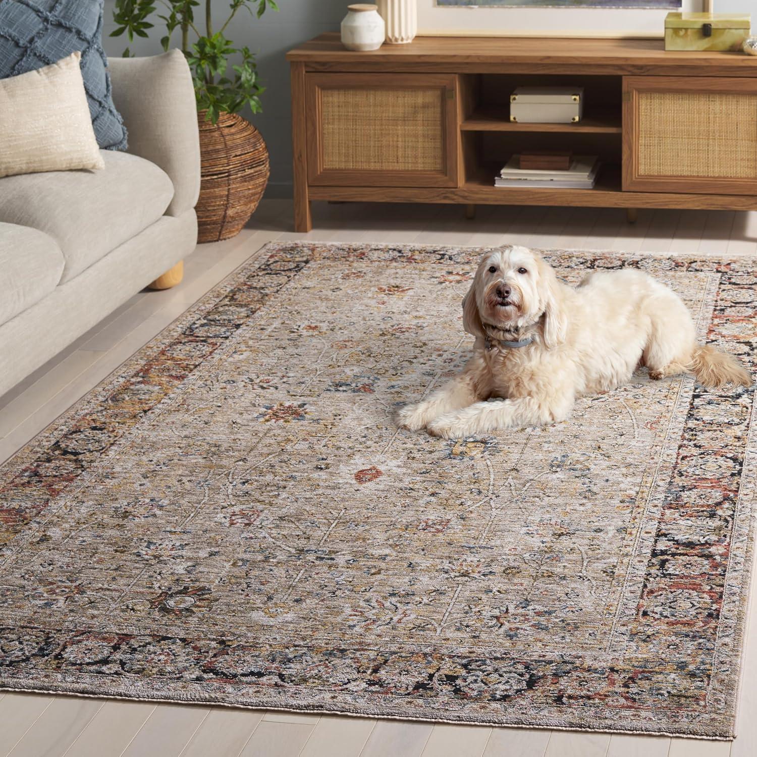 Silverado SVD112 Power Loomed Area Rug - Beige/Rust - 4'x6' - Safavieh.