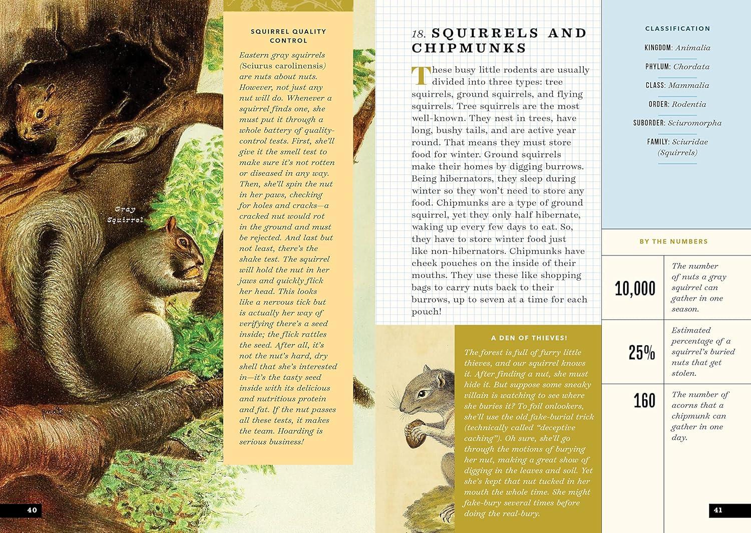 The Little Book of North American Mammals: A Guide for Kids