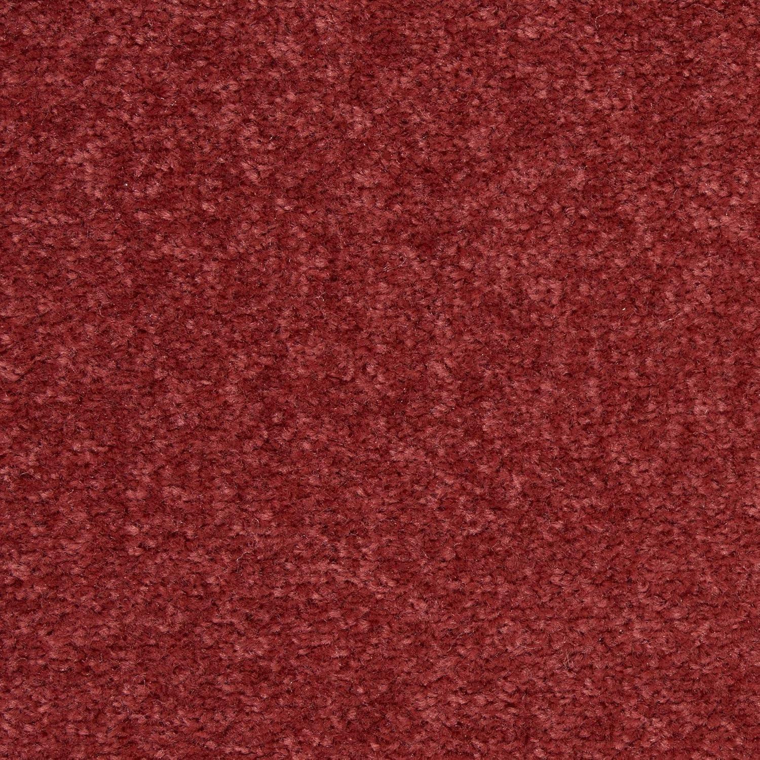 Nourison Essentials 8' x 10' Brick Red Indoor/Outdoor Rug