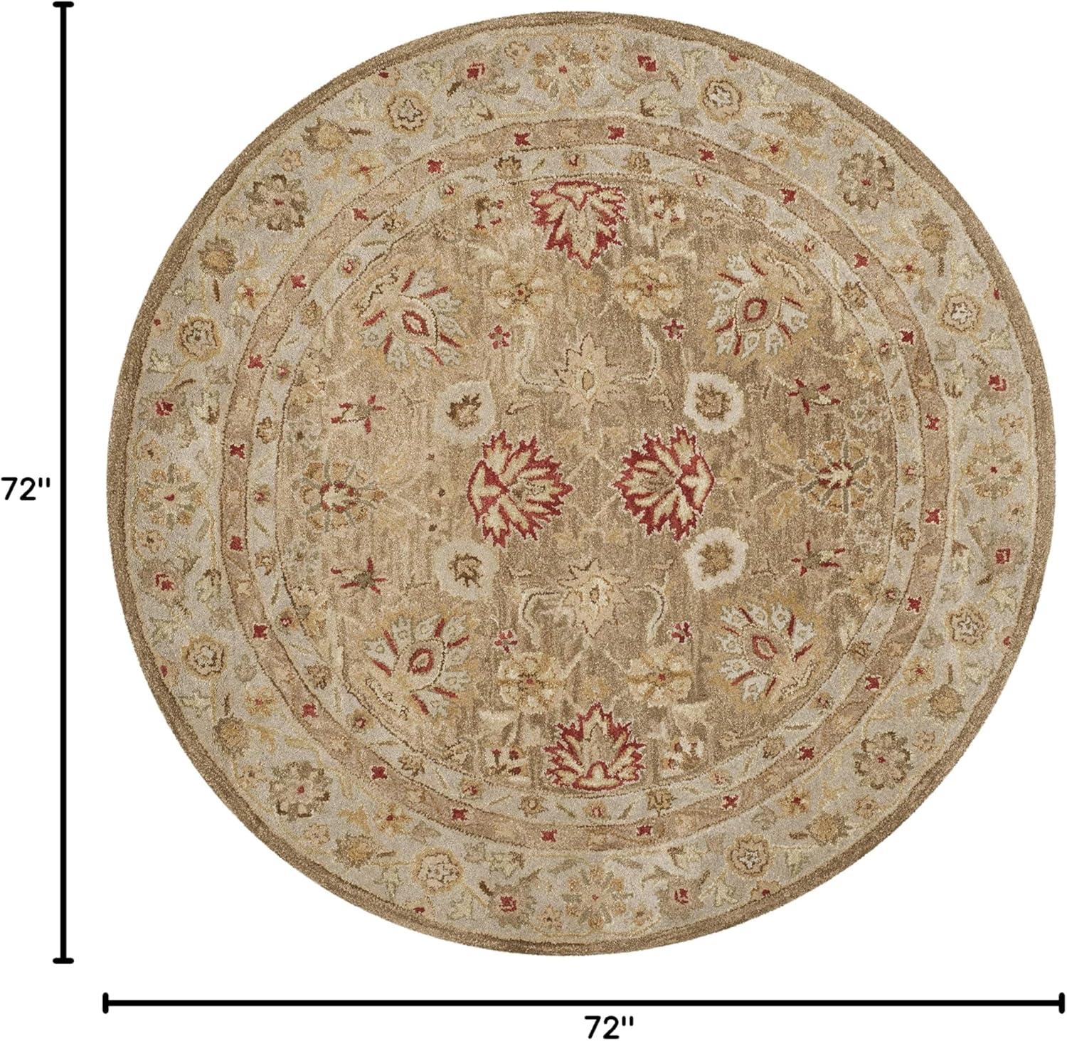 Antiquity AT822 Hand Tufted Area Rug  - Safavieh