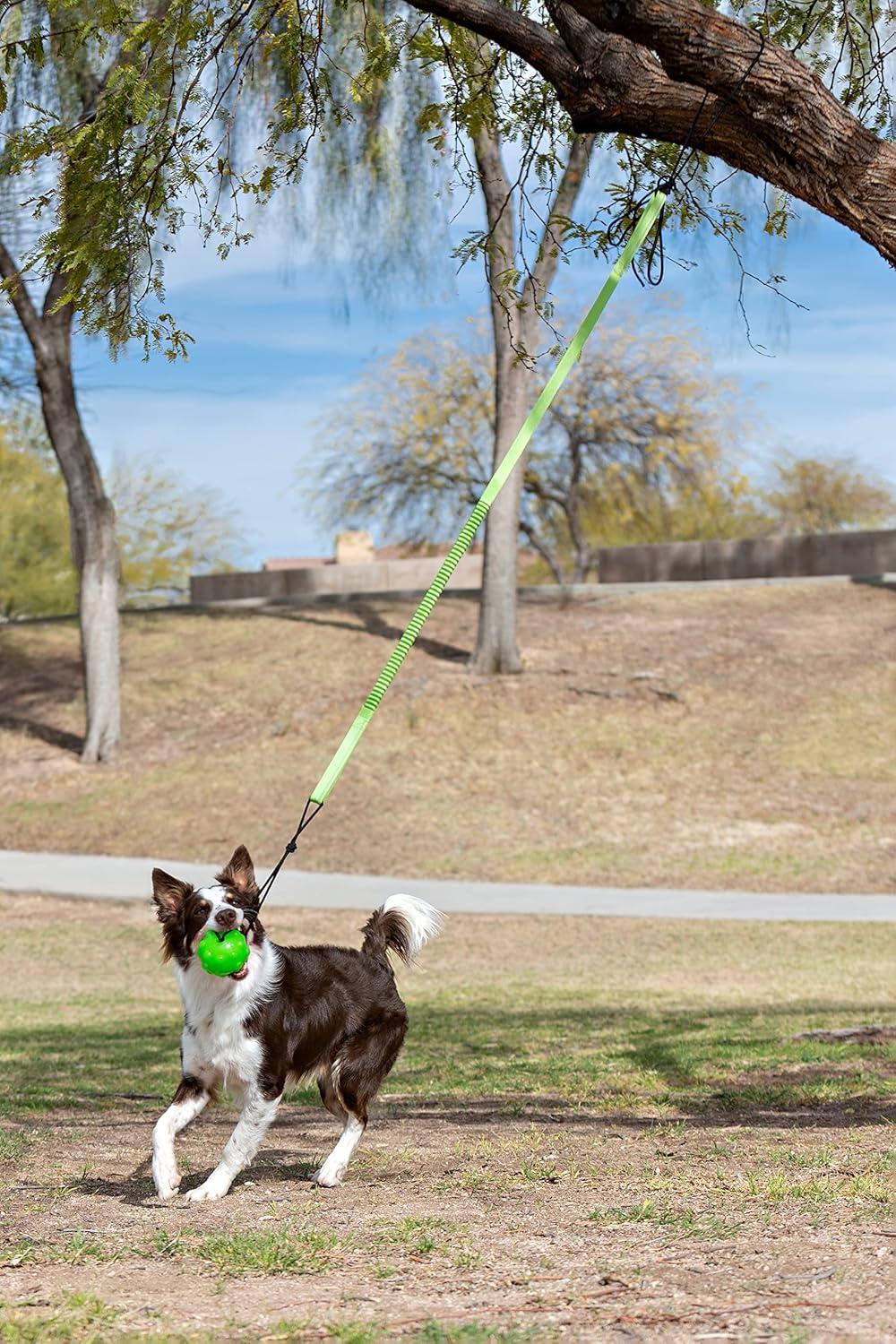 Jolly Pets Tree Tugger For Dog - Green
