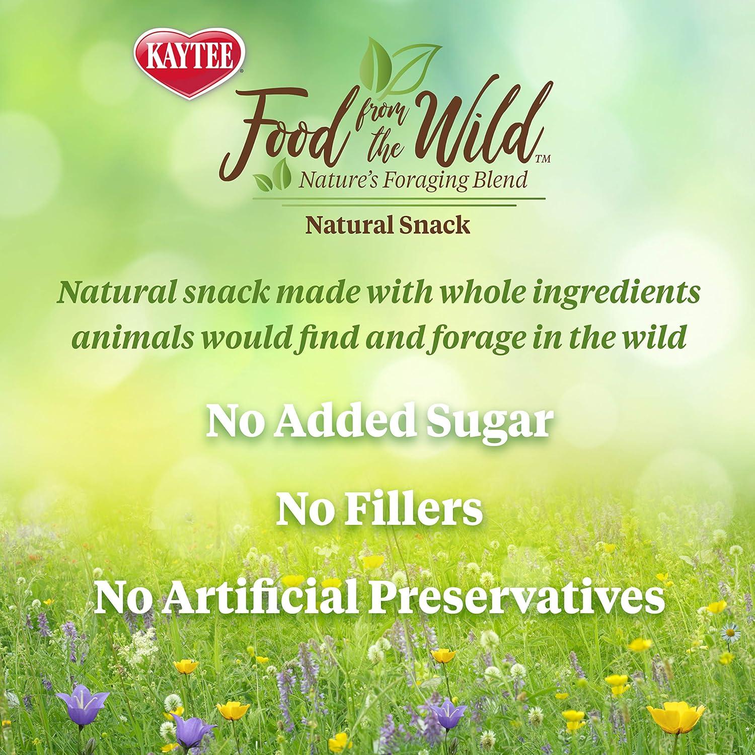 Kaytee Food From the Wild Natural Snack