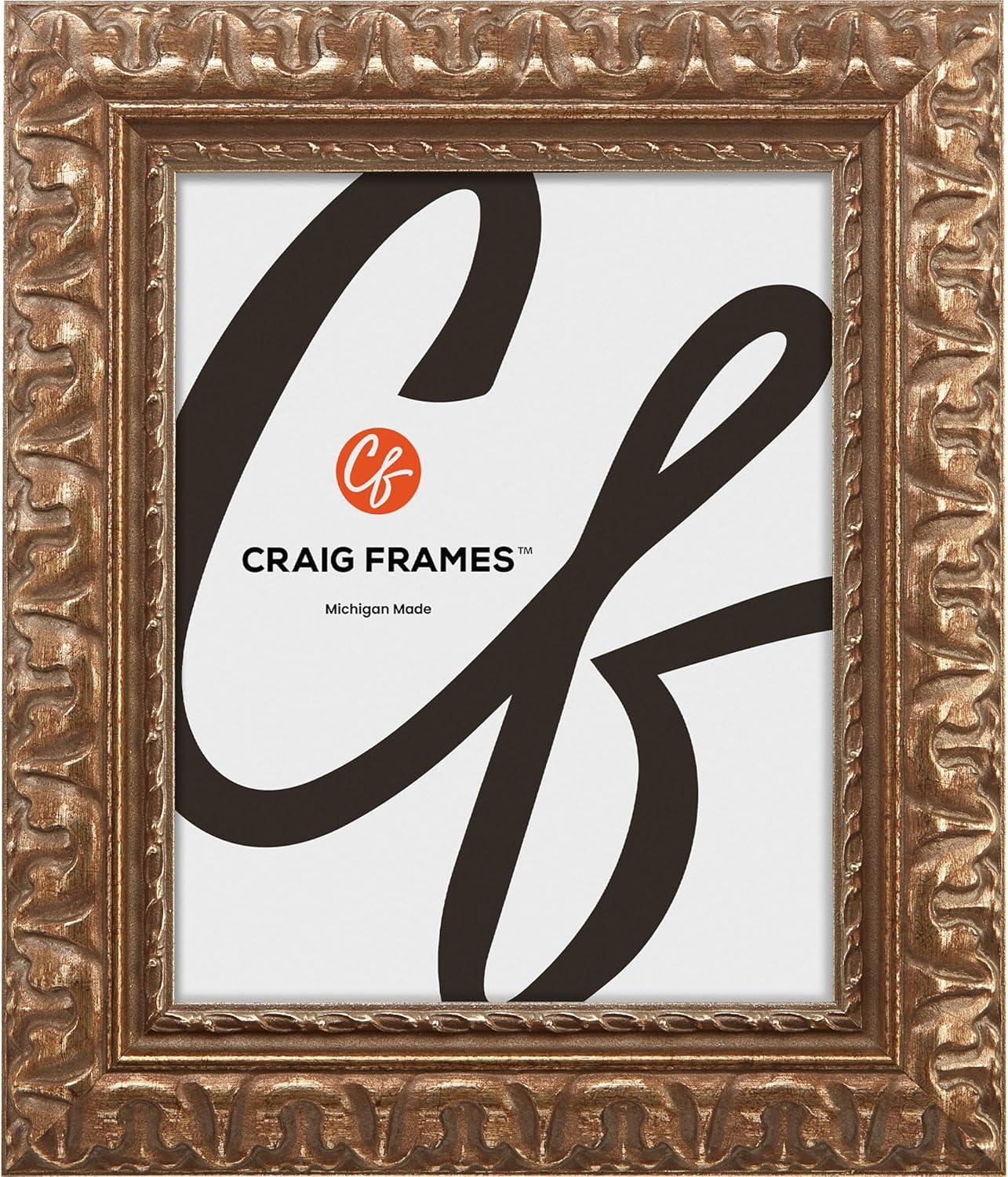 Craig Frames Bravado Ornate, 24x36 inch Antique Bronze Picture Frame Matted for a 20x30 Photo