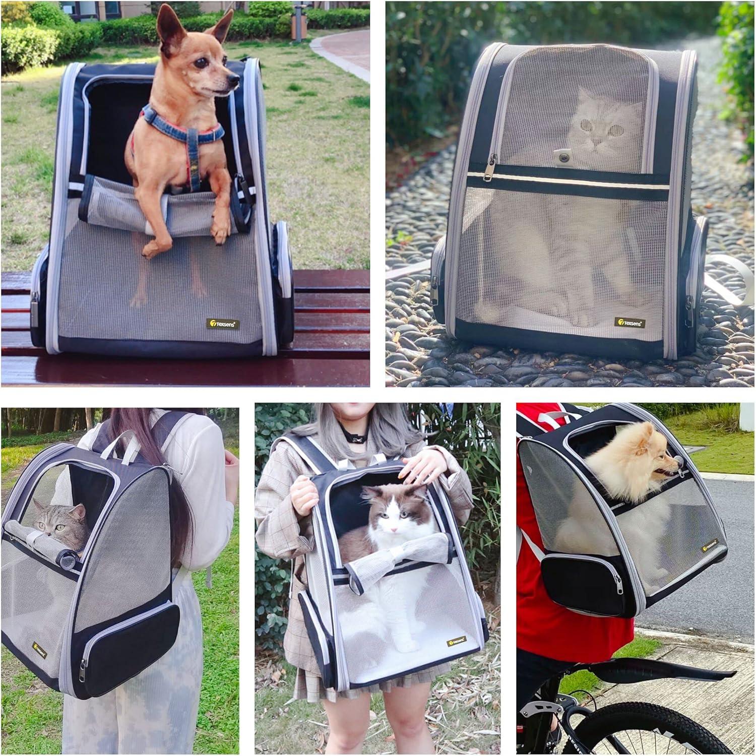 Black and Gray Airline Approved Soft Sided Pet Carrier Backpack