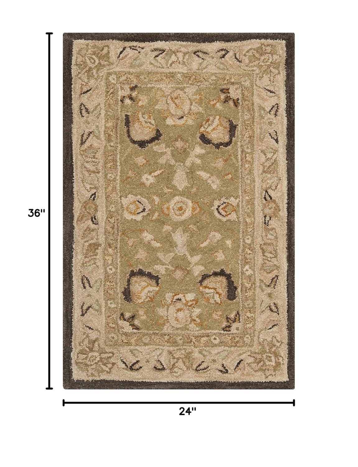 Anatolia AN512 Hand Tufted Indoor Accent Rug - Sage/Beige - 2'x3' - Safavieh