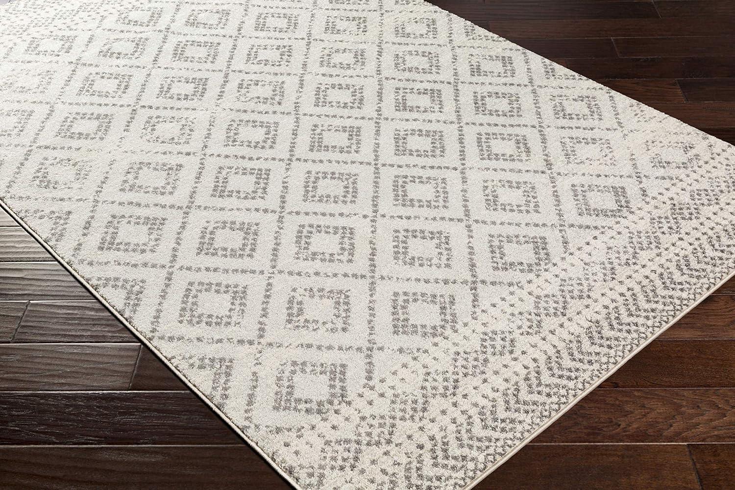 Light Gray Synthetic 8' x 10' Bohemian Area Rug