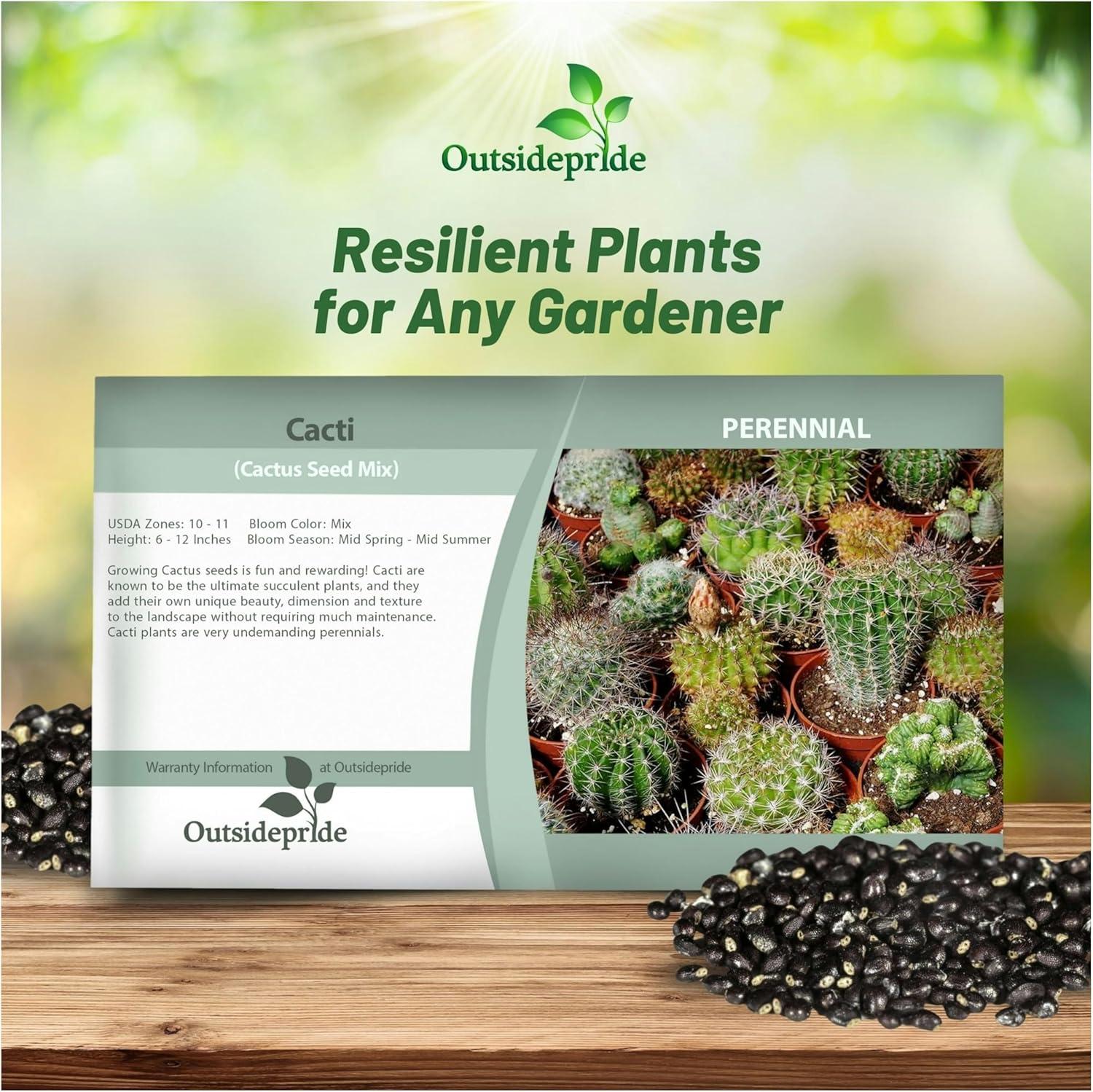 2000 Seeds Green and Brown Cactus Succulent Mix