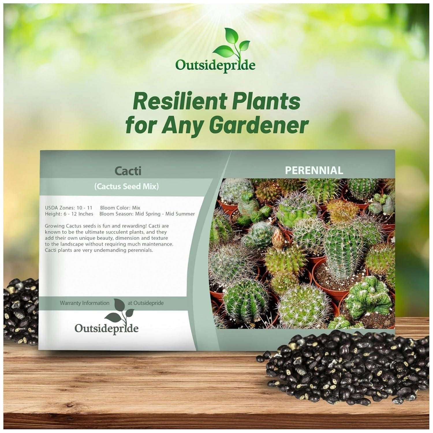 2000 Seeds Green and Brown Cactus Succulent Mix