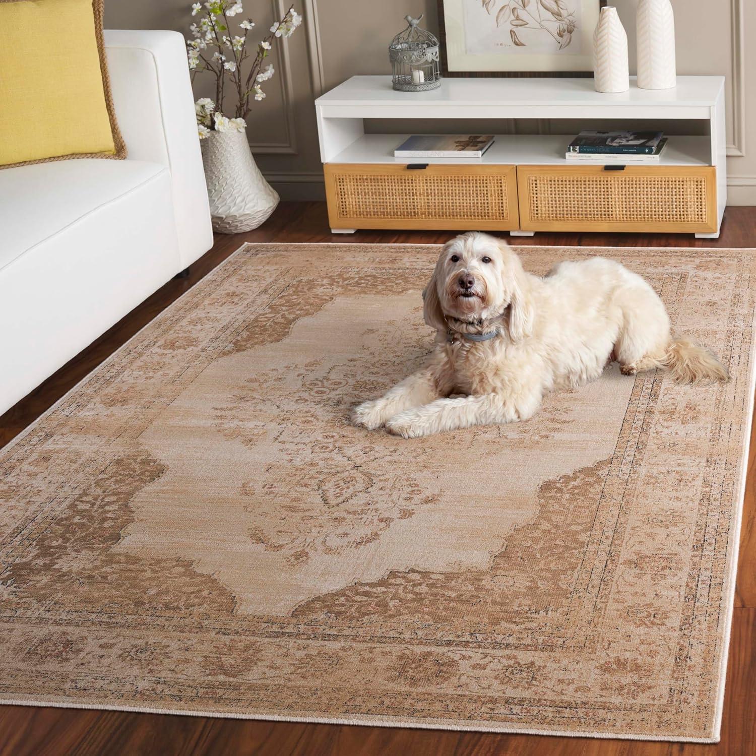 Vintage VTG122 Power Loomed Indoor Accent Rug - Creme - 2'x3' - Safavieh.