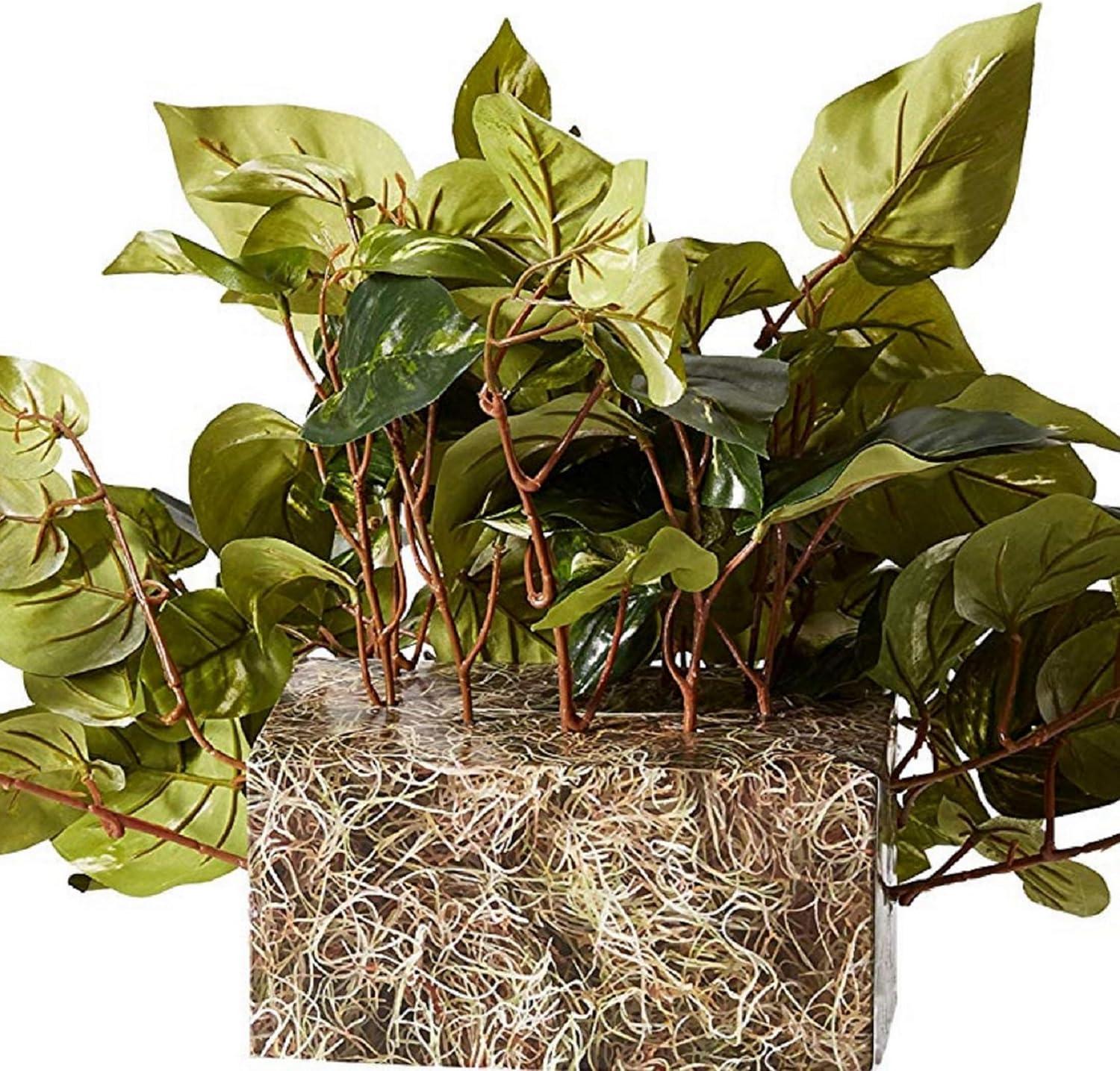 Primrue Pothos Ledge Plant (Set on Foam) Silk Plant