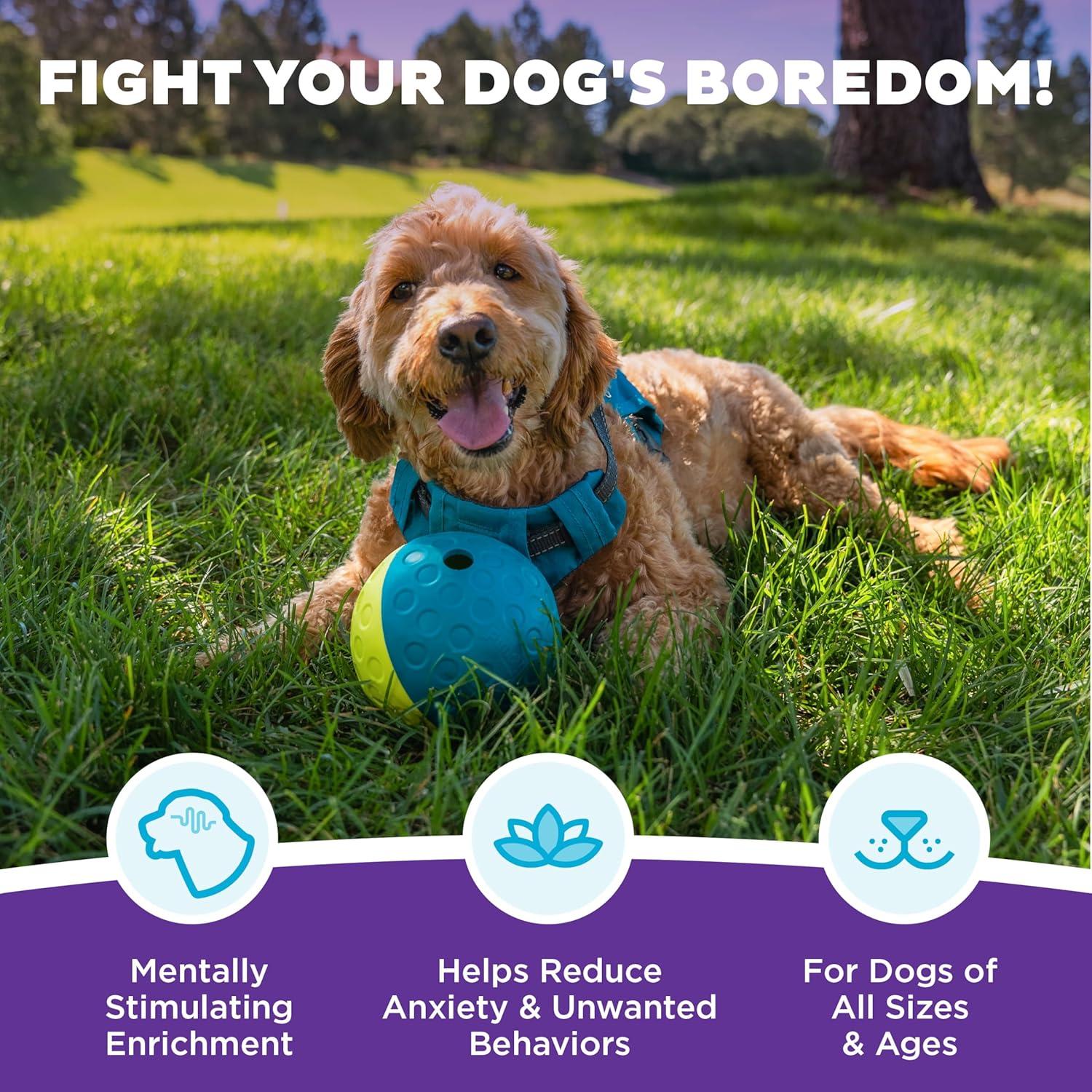 Nina Ottosson by Outward Hound Treat Tumble Interactive Puzzle Dog Toy, Blue, Small