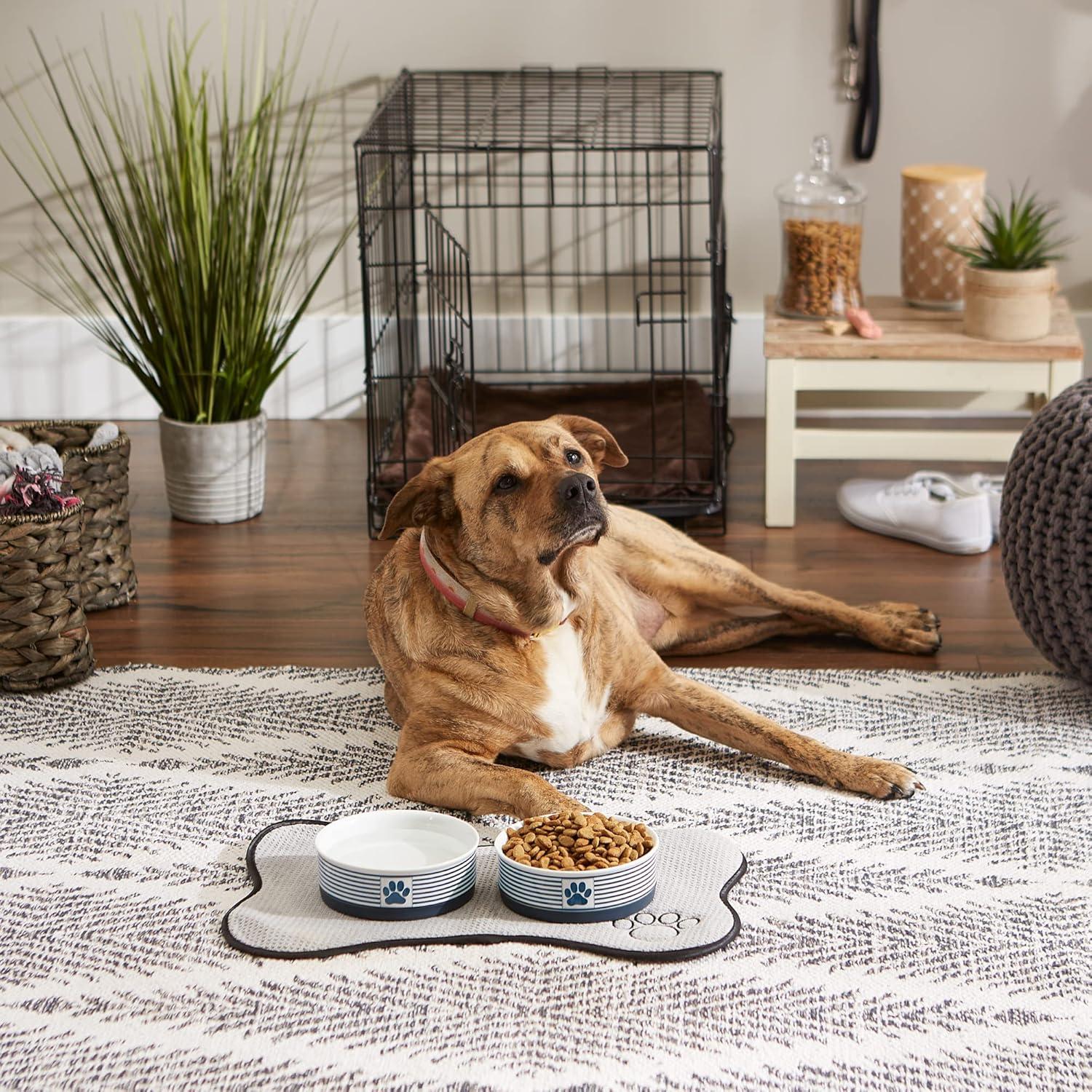 Nautical Blue 6" Ceramic Pet Bowl Set with Silicone Rim