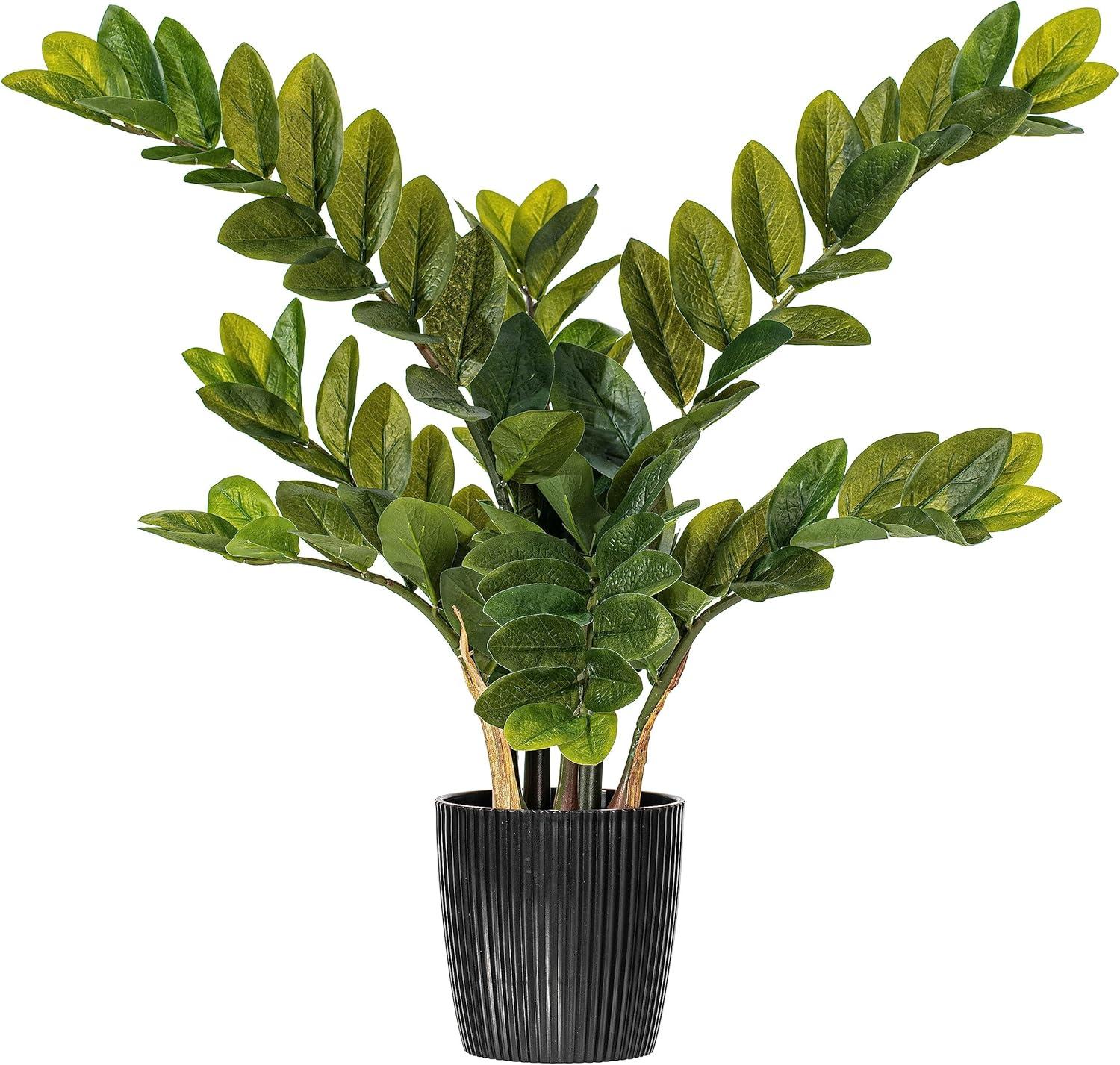 36" Green Plastic Potted Zamifolia Faux Bush