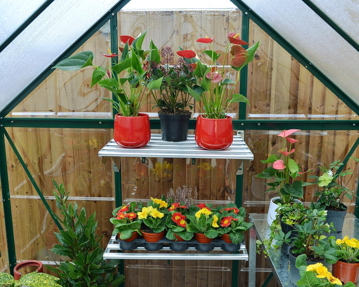 Canopia Palram - Canopia Hybrid Polycarbonate Hobby Greenhouse