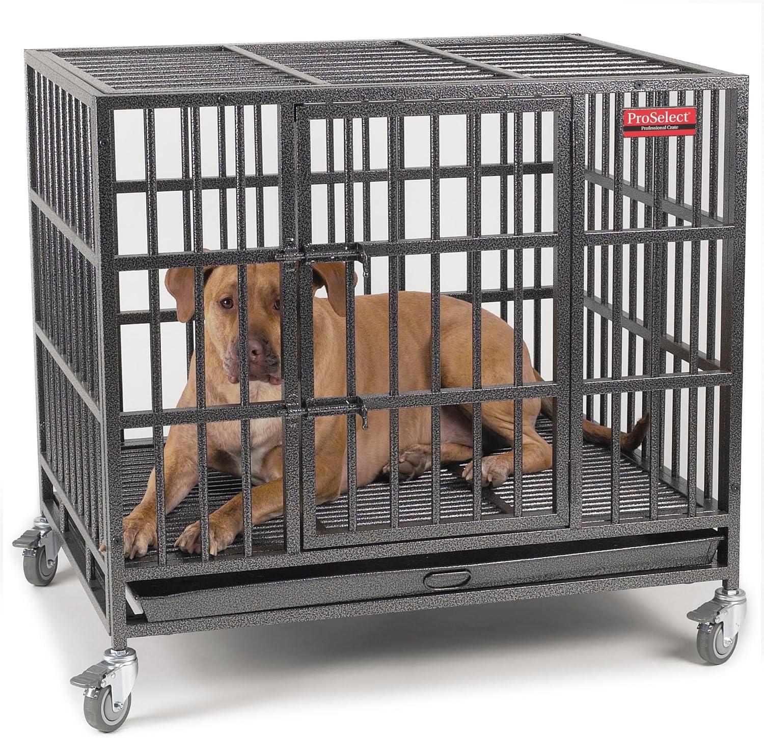 ProSelect Metal Pet Crate with 1 Door
