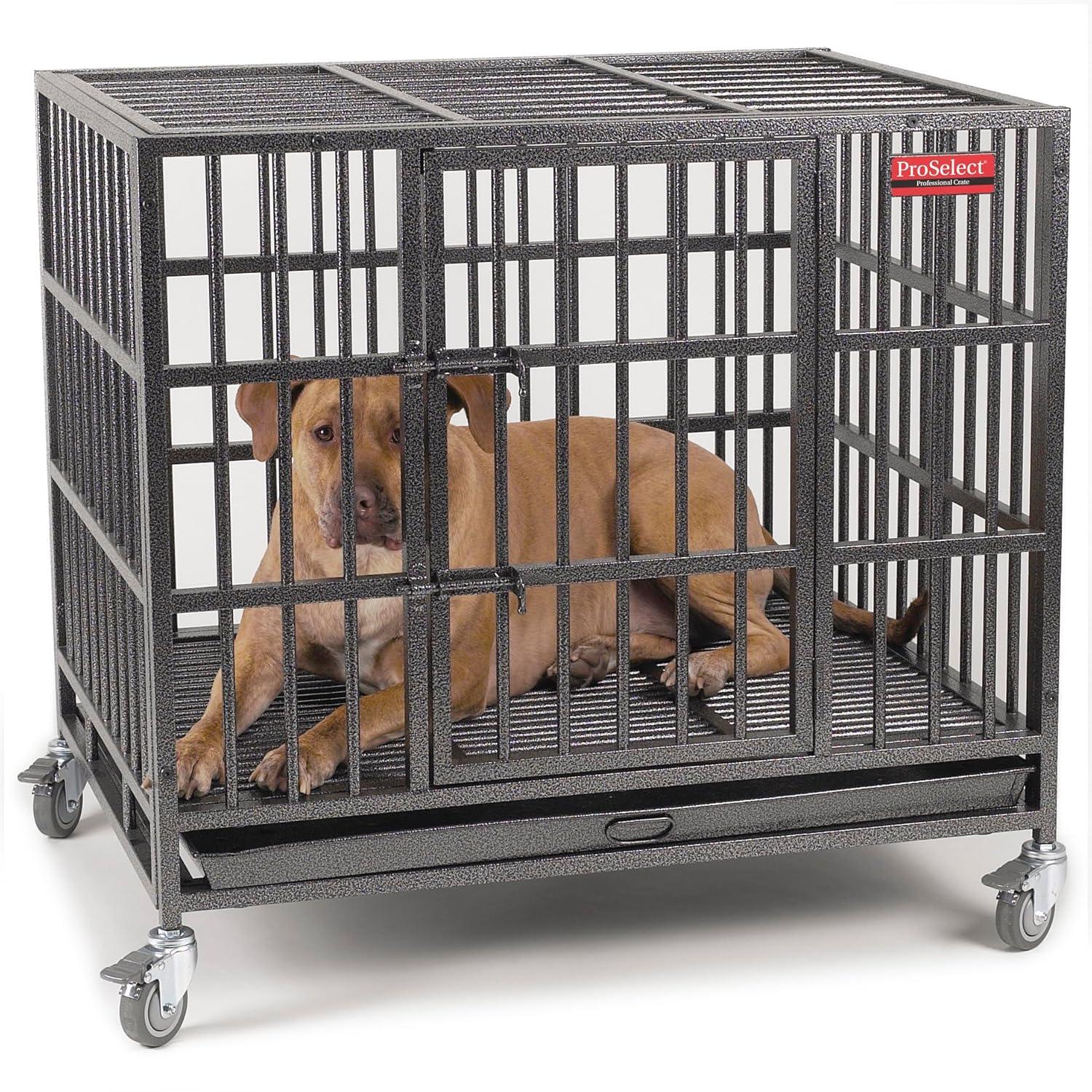 ProSelect Metal Pet Crate with 1 Door