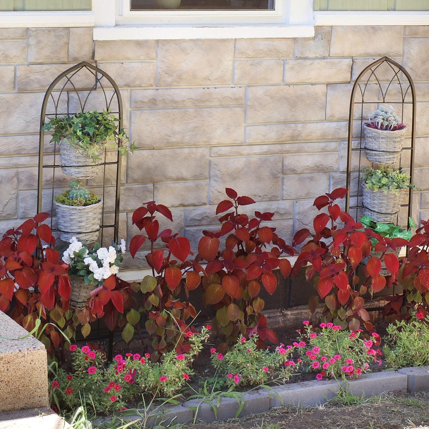 Winston Porter Avonlee Black Steel Arched Garden Trellis for Climbing Plants (Set of 2)