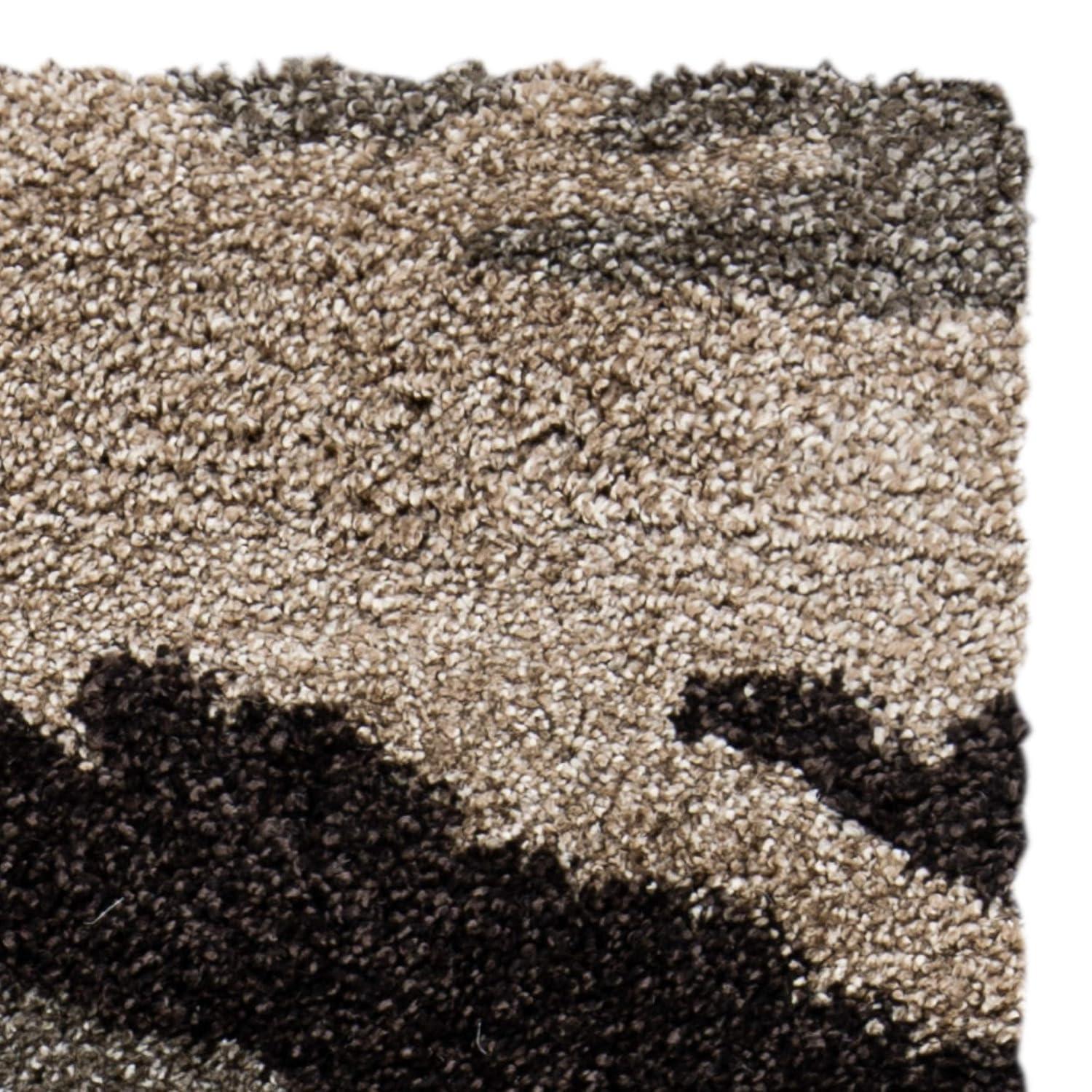 Florida Shag SG453 Power Loomed Indoor Area Rug - Beige/Multi - 5'3"x7'6" - Safavieh.