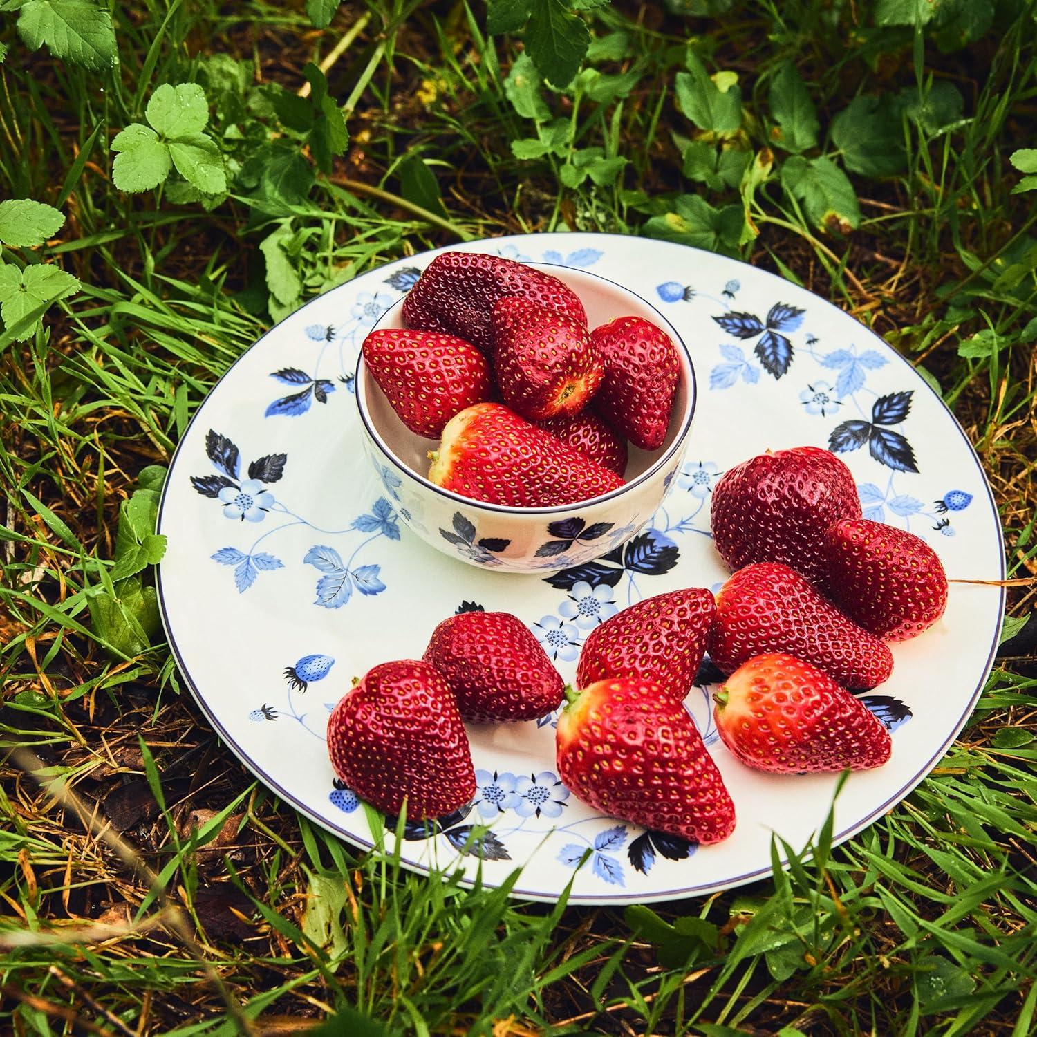Wedgwood Wild Strawberry Inky Blue Plate 10.7in