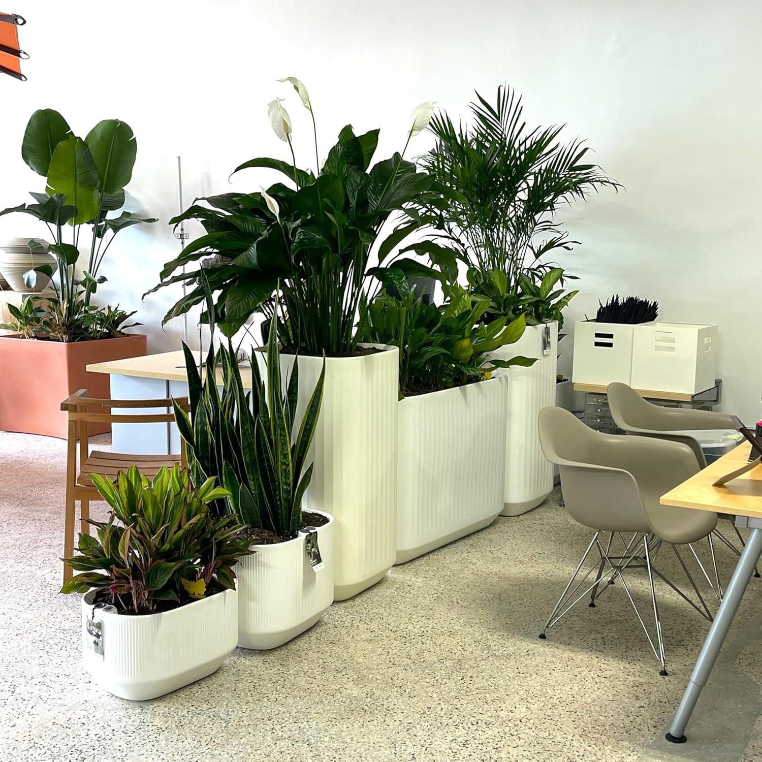 Mod Planter Box