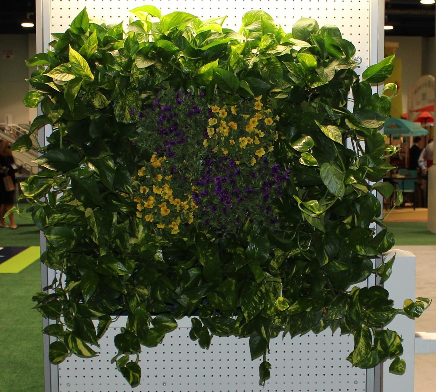 Bloomers Wall Flowers Vertical Gardening System – Create Gardens on Walls – Holds up to 4 Potted Plants – Black