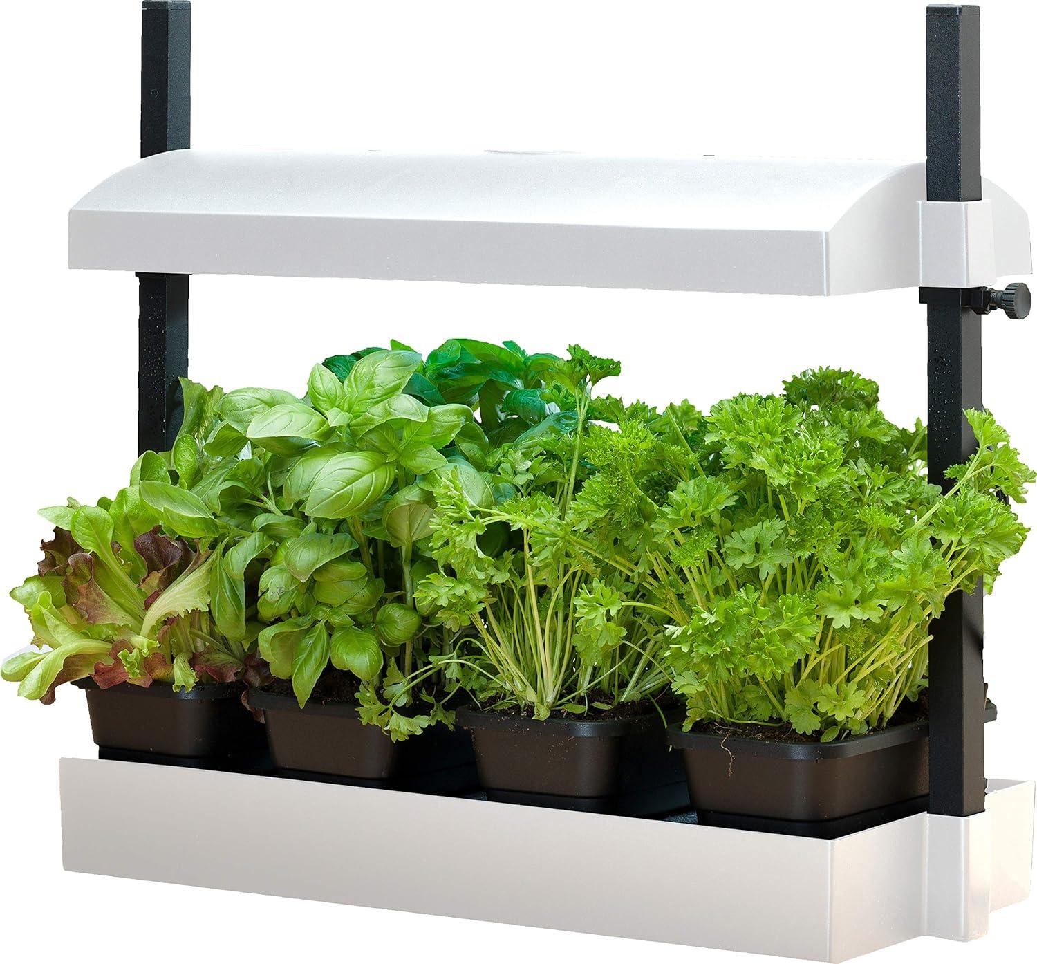 Sunblaster Growing Kit