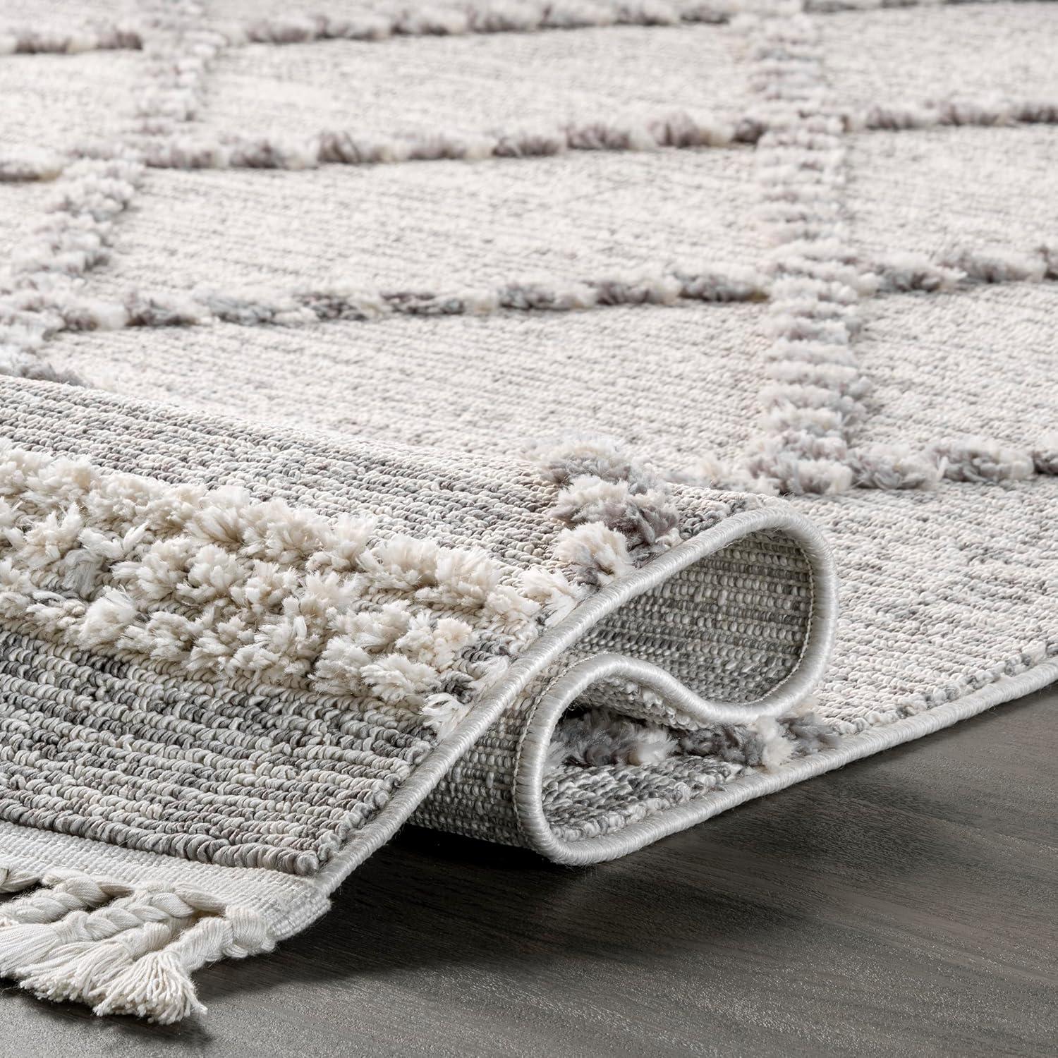 Nuloom Skylar Textured Trellis Tasseled Indoor Area Rug