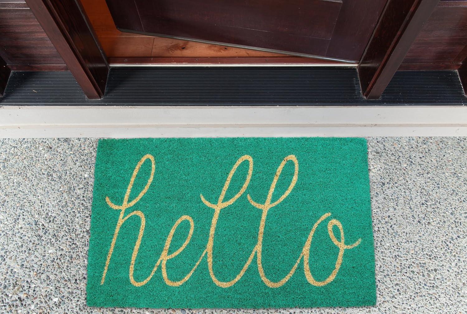 DII Hello Coir Fiber Doormat Non-Slip Durable Outdoor/Indoor, Pet Friendly, 17x29", Storm Blue