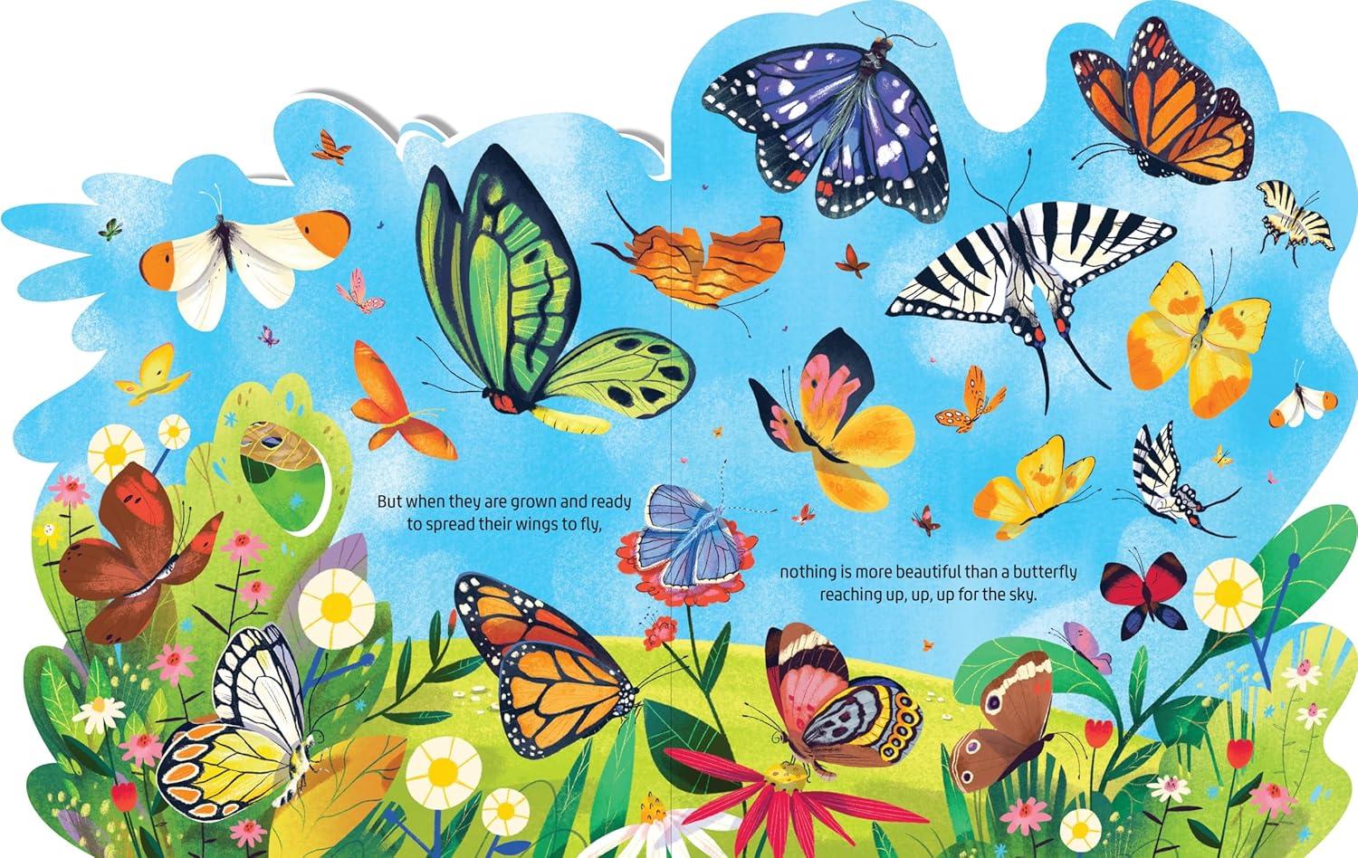 Beautiful Butterflies - (Layered View) (Board Book)