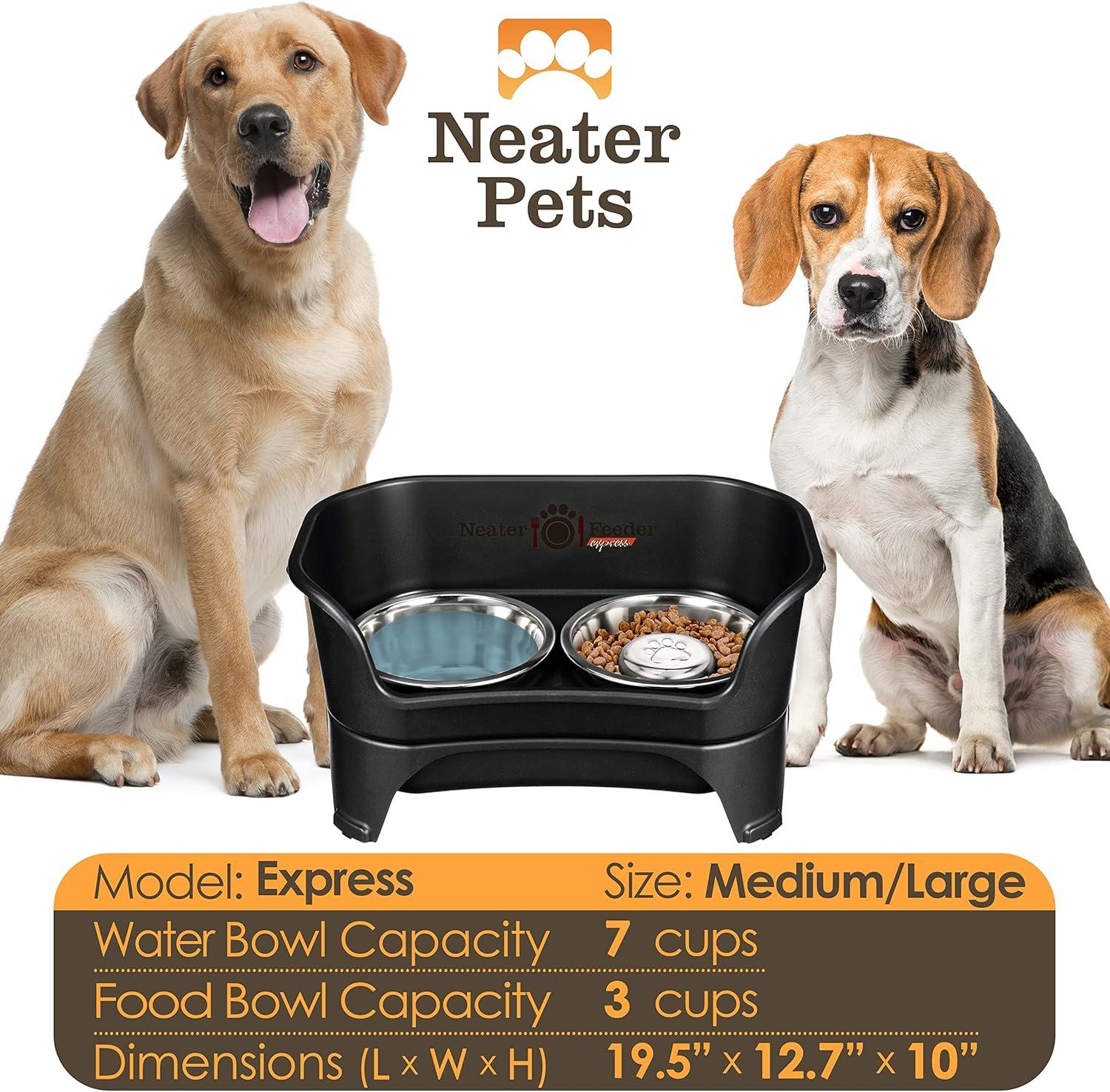 Black Elevated Stainless Steel Pet Feeder with Slow Feed Bowl