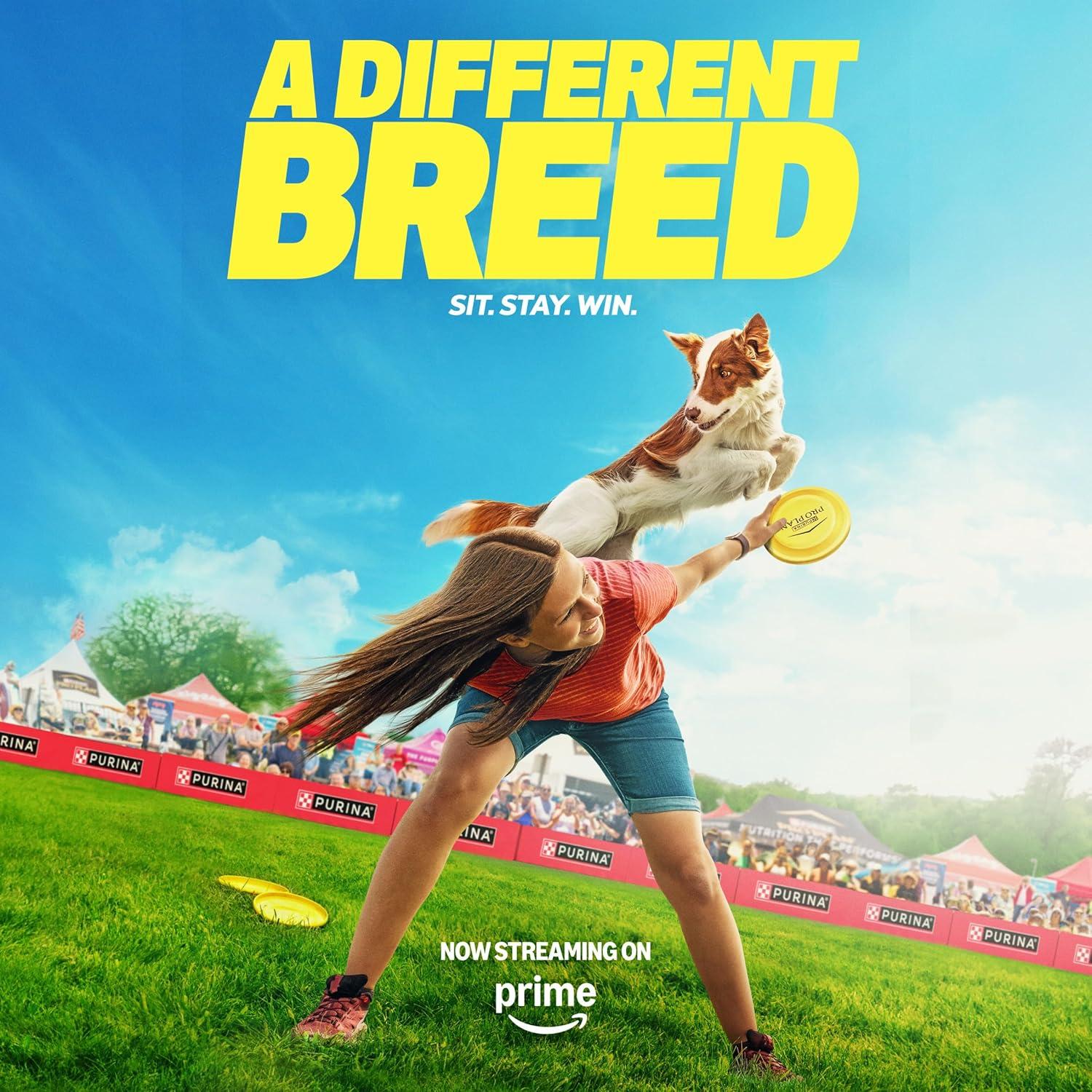 Purina Pro Plan Small Breed Dog Food With Probiotics for Dogs, Shredded Blend Chicken & Rice Formula, 6 lb. Bag