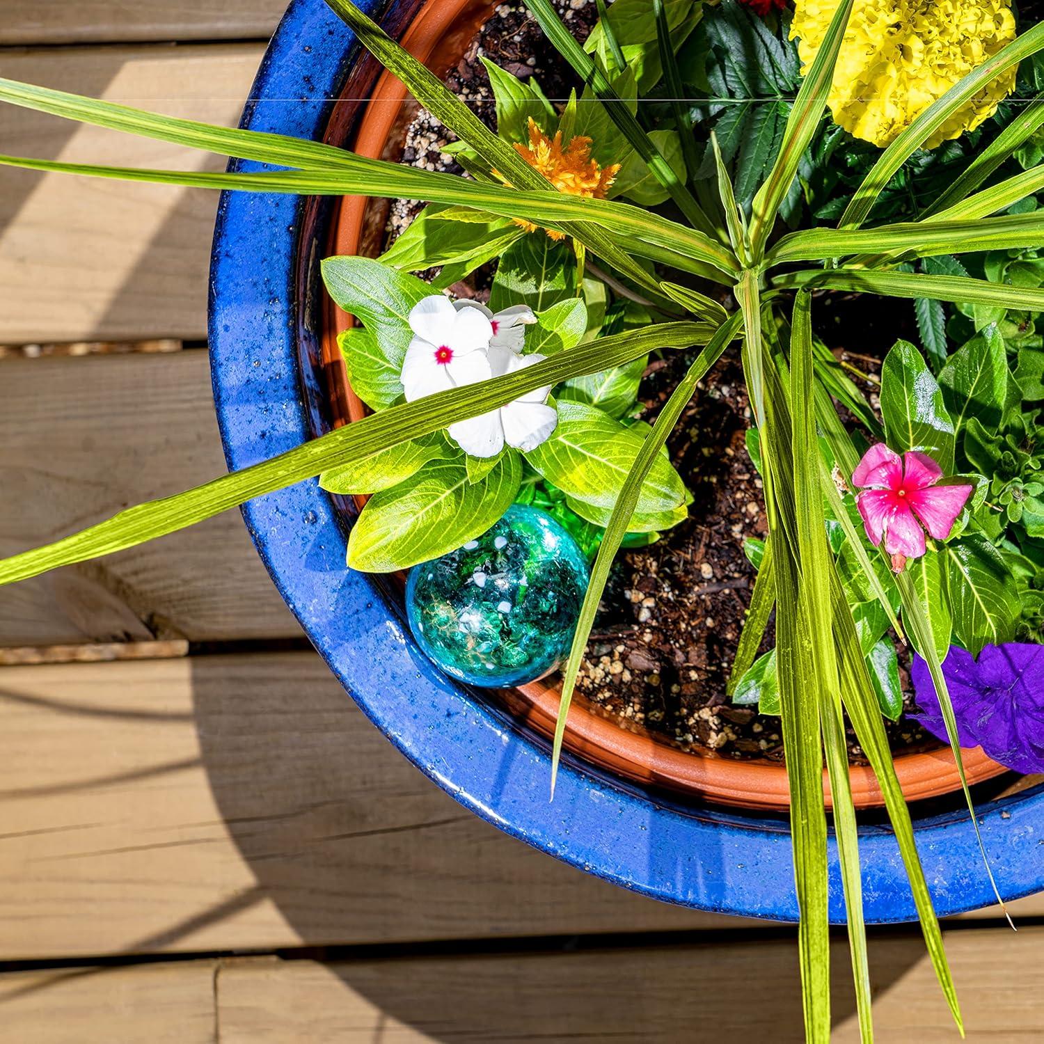 Wyndham House, 6 Piece Small Watering Globe Set, Colorful Hand-Blown Glass Plant Watering System