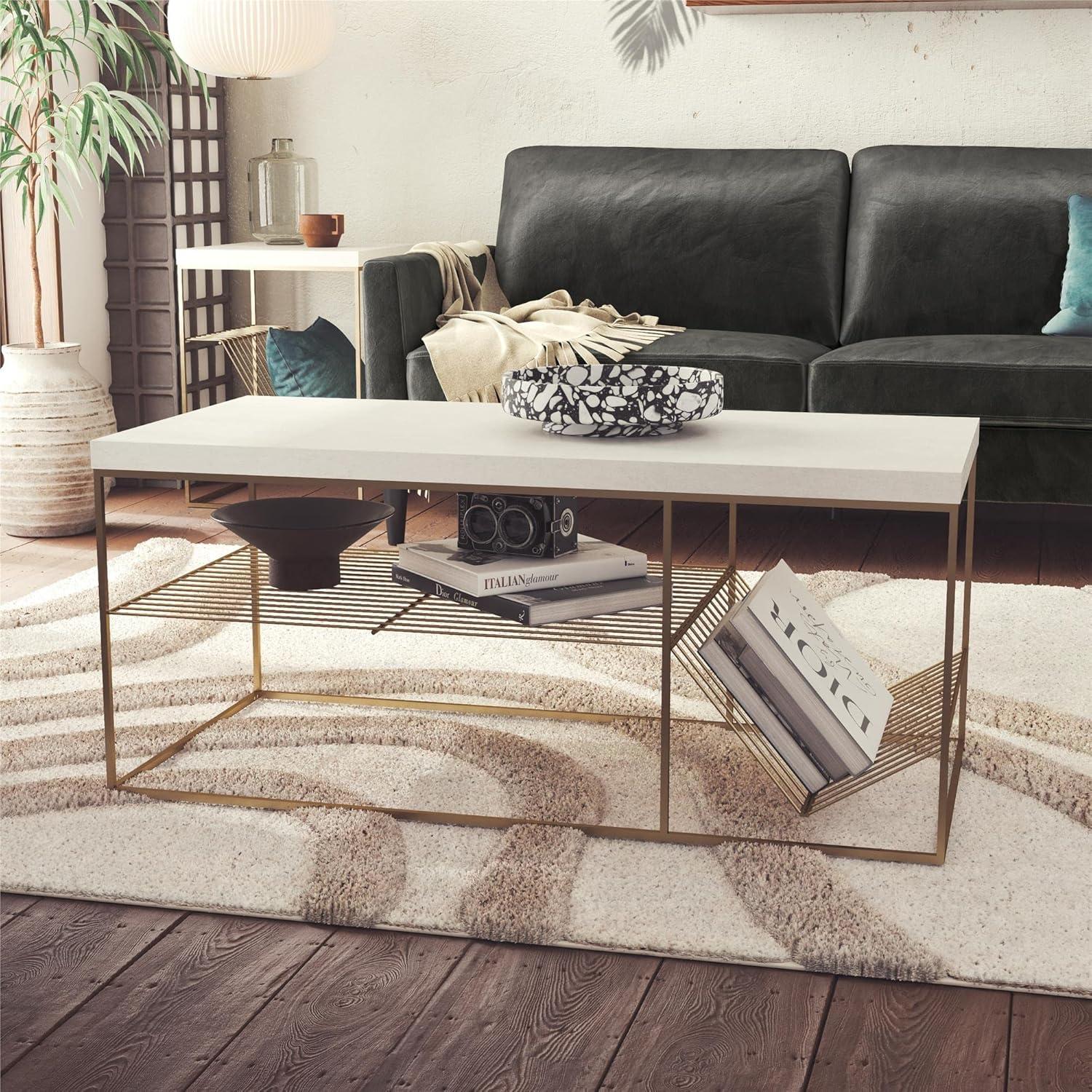 Neely Coffee Table with Storage