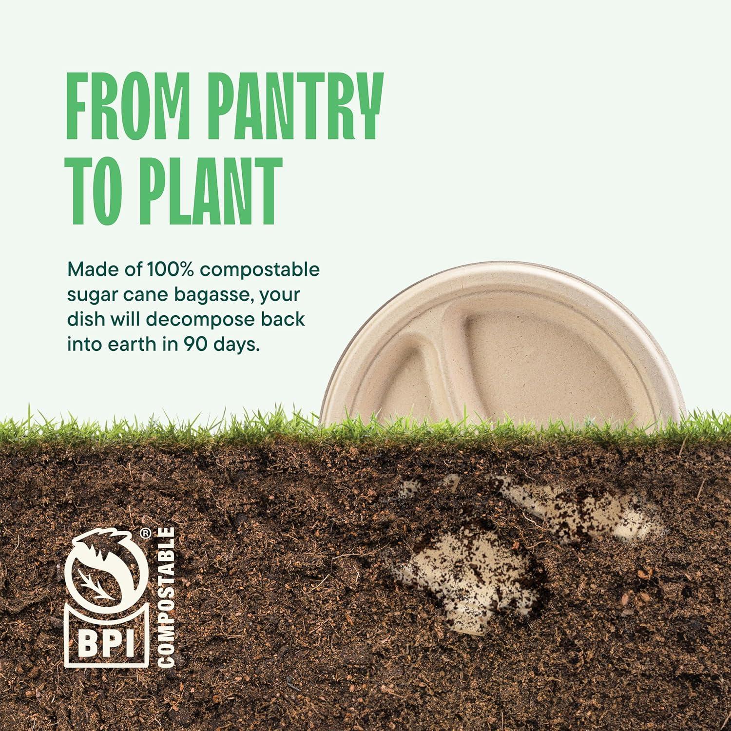 Stack Man 100% Compostable, 3 Compartment Section, Disposable Paper Plates [9 in. - 125-Pack] -Heavy Duty Biodegradable, BBQ, Lunch Trays