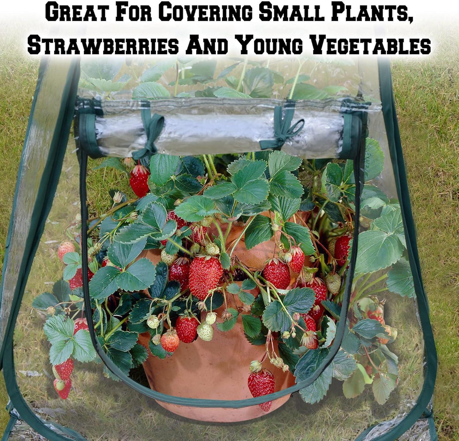 Easy Set-up Mini Greenhouse Pack of 2 Mini Pop up Flower House Backard Garden Plant Cover for Cold Forst Protection PVC Sunshine Room with Stakes and Carrybag (27" L x 27" W x 31" H)