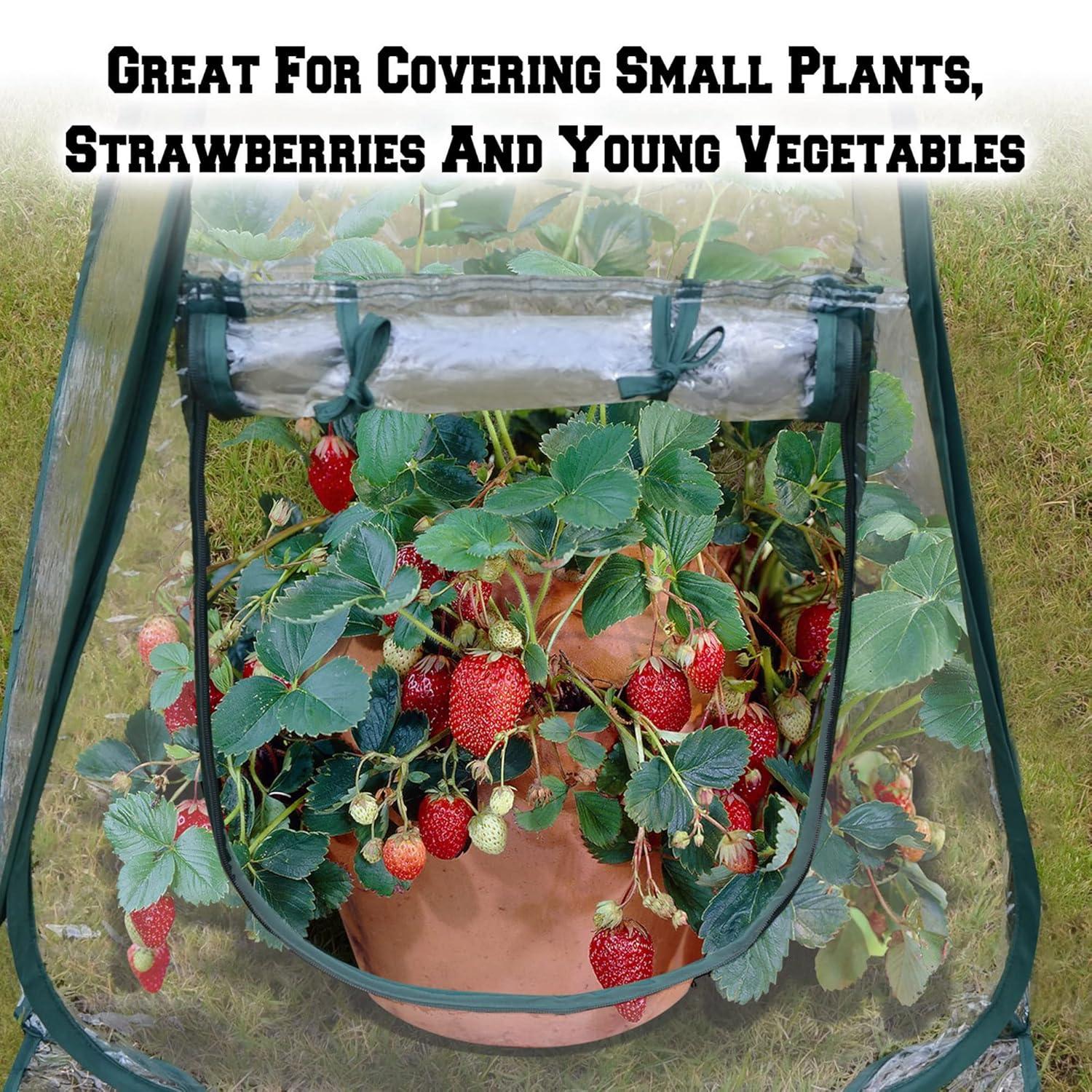 Easy Set-up Mini Greenhouse Pack of 2 Mini Pop up Flower House Backard Garden Plant Cover for Cold Forst Protection PVC Sunshine Room with Stakes and Carrybag (27" L x 27" W x 31" H)