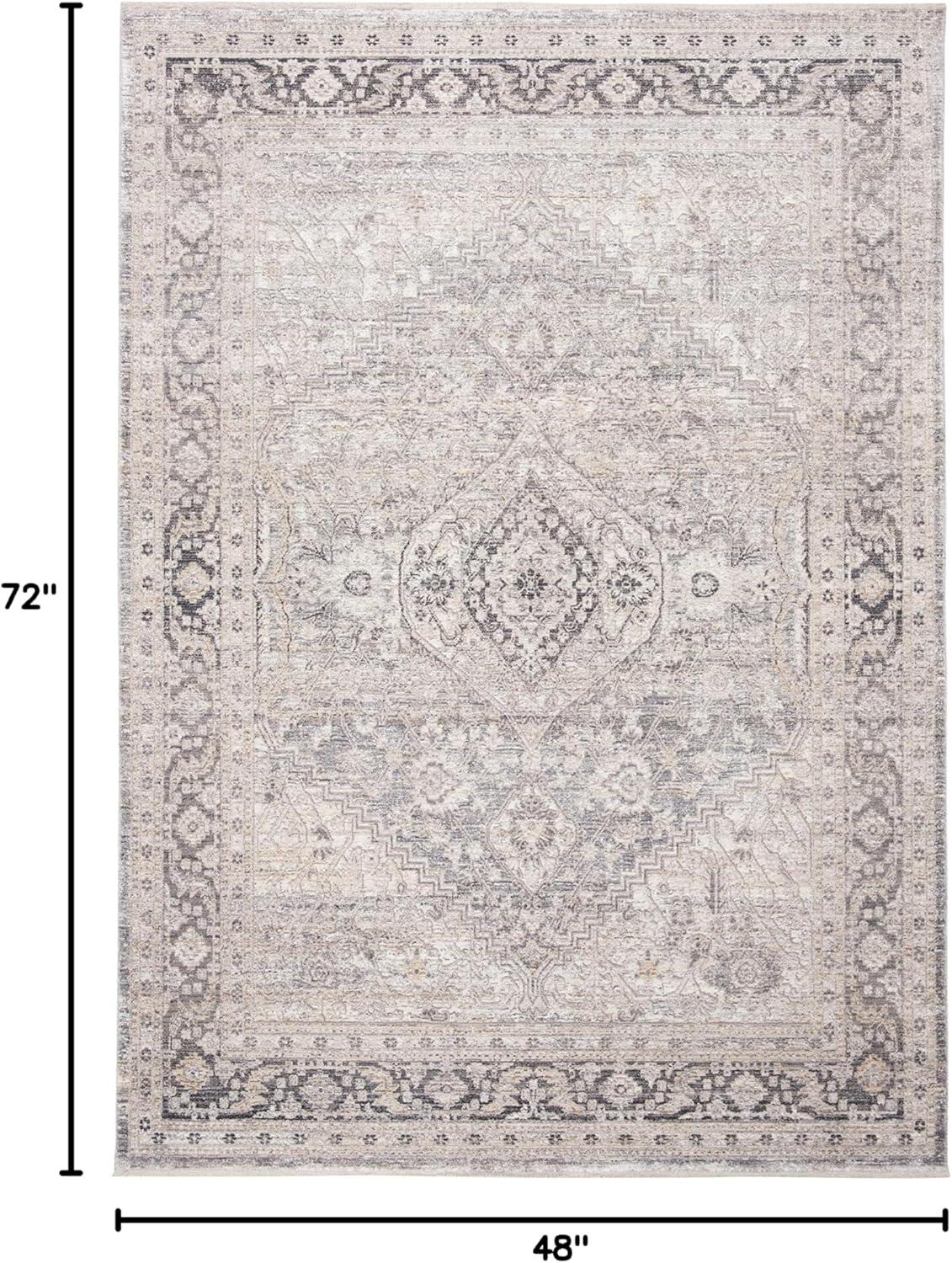 Dream DRM411 Power Loomed Indoor Area Rug - Grey/Ivory - 4'x6' - Safavieh