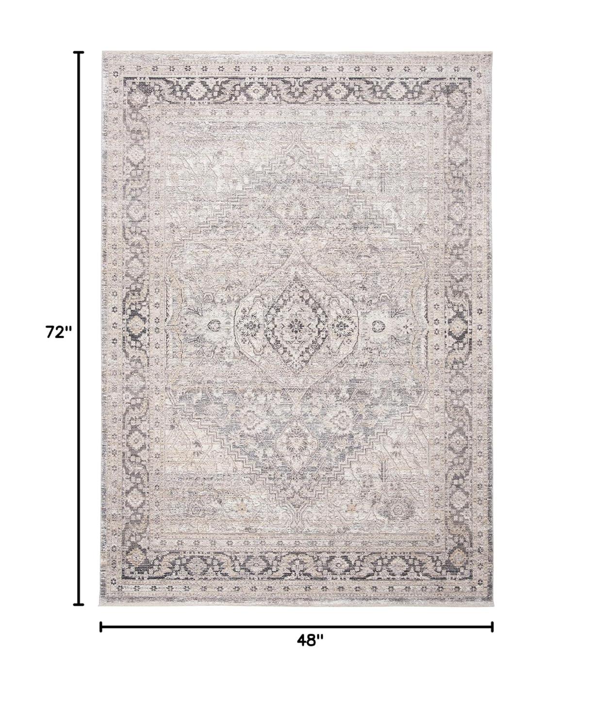 Dream DRM411 Power Loomed Indoor Area Rug - Grey/Ivory - 4'x6' - Safavieh
