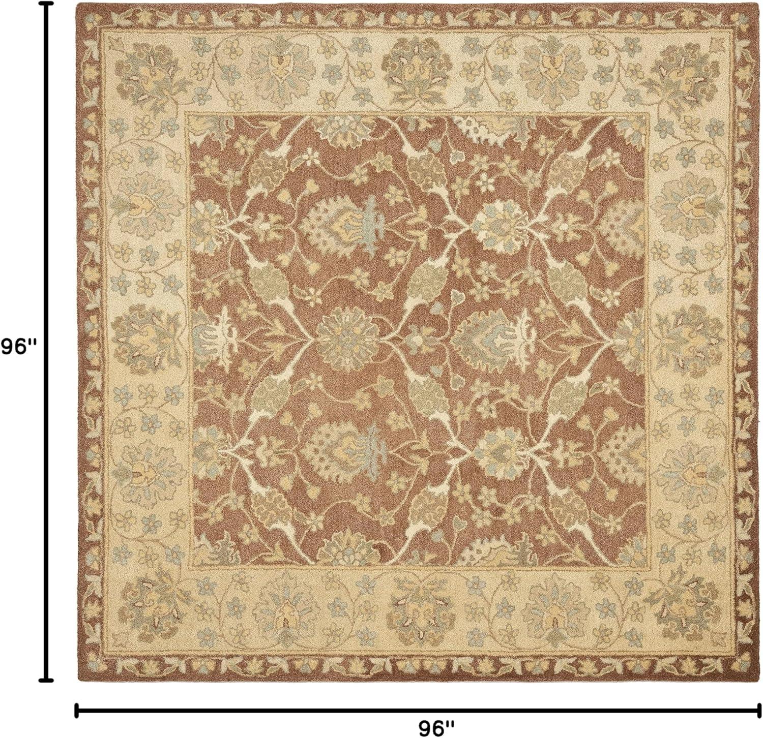 SAFAVIEH Antiquity Gisselle Traditional Floral Wool Area Rug, Brown/Taupe, 8' x 8' Square