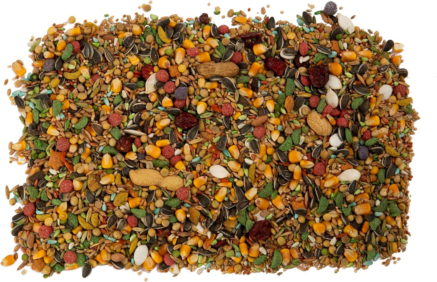Wild Harvest Parrot Advanced Nutrition Diet Dry Bird Food, 8 lbs