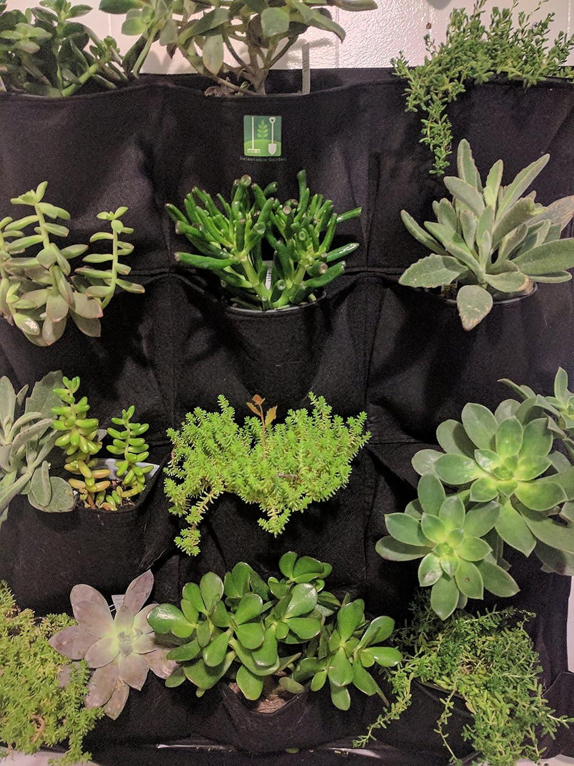 Delectable Garden Cloth 12 Pocket Hanging Vertical Garden Wall Planter 33 in L X 29 in W