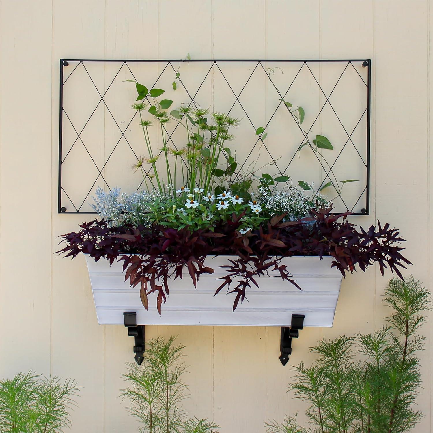 Clarence Wall-Mounted Trellis Set