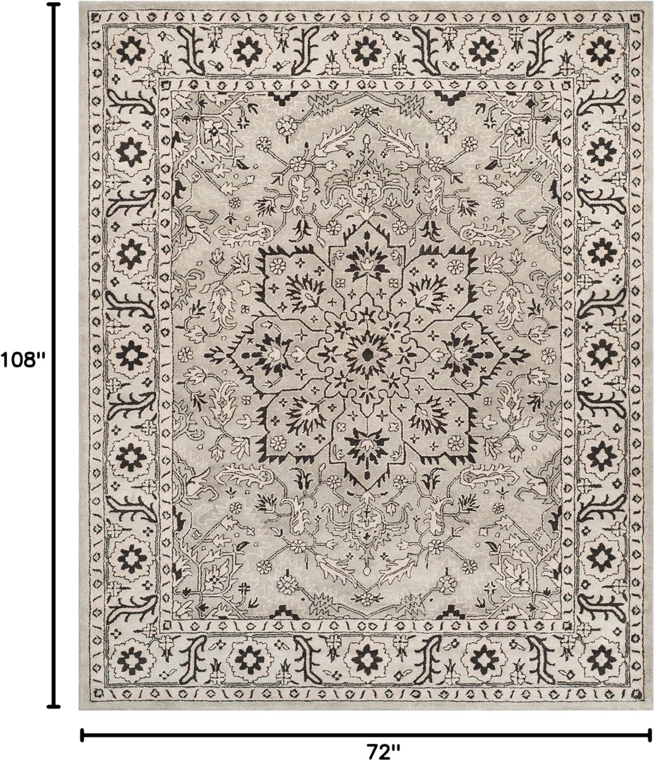 Antiquity AT58 Hand Tufted Area Rug  - Safavieh