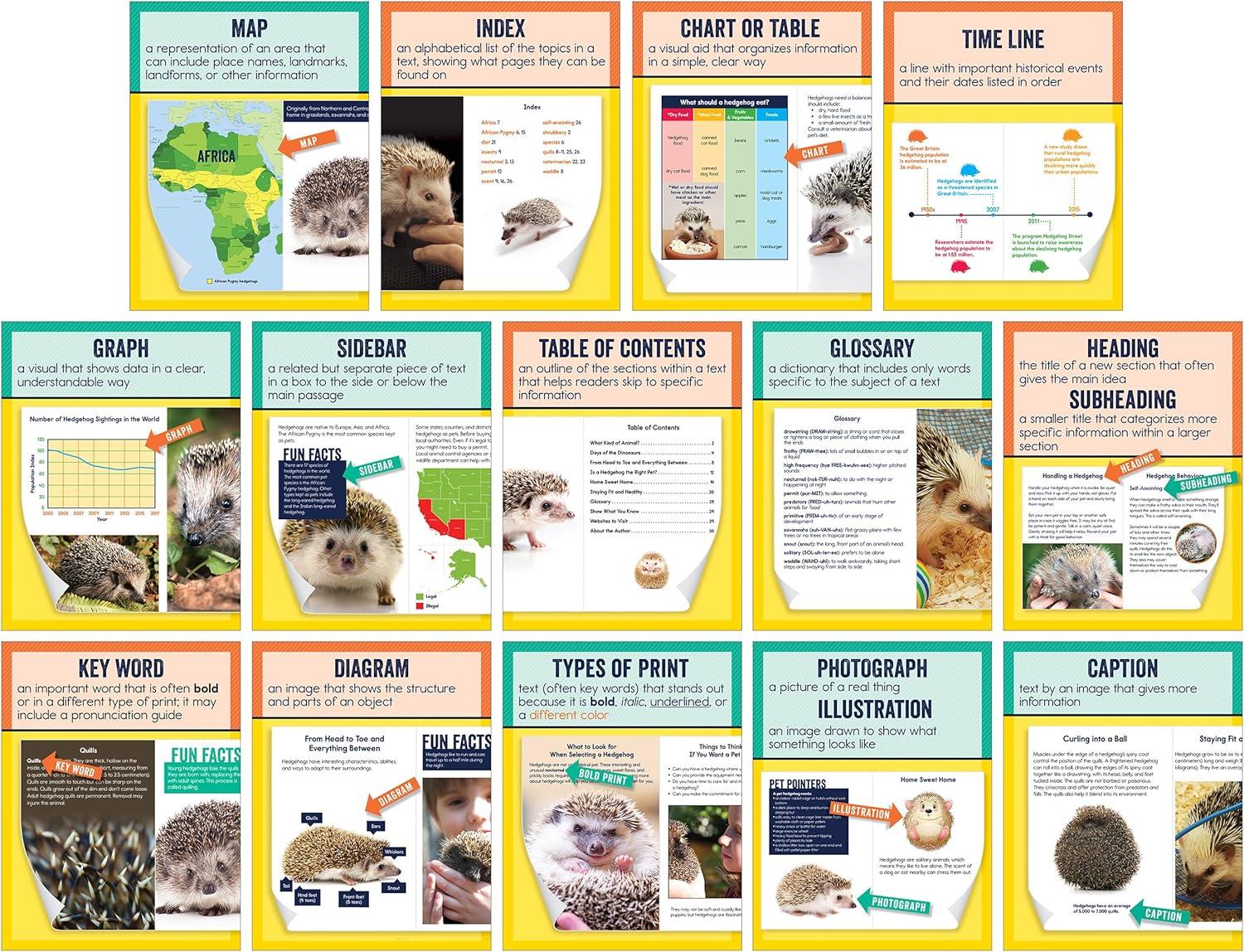 Carson Dellosa Mini Posters: Nonfiction Text Features Poster Set (14 mini posters) Grade 1-6