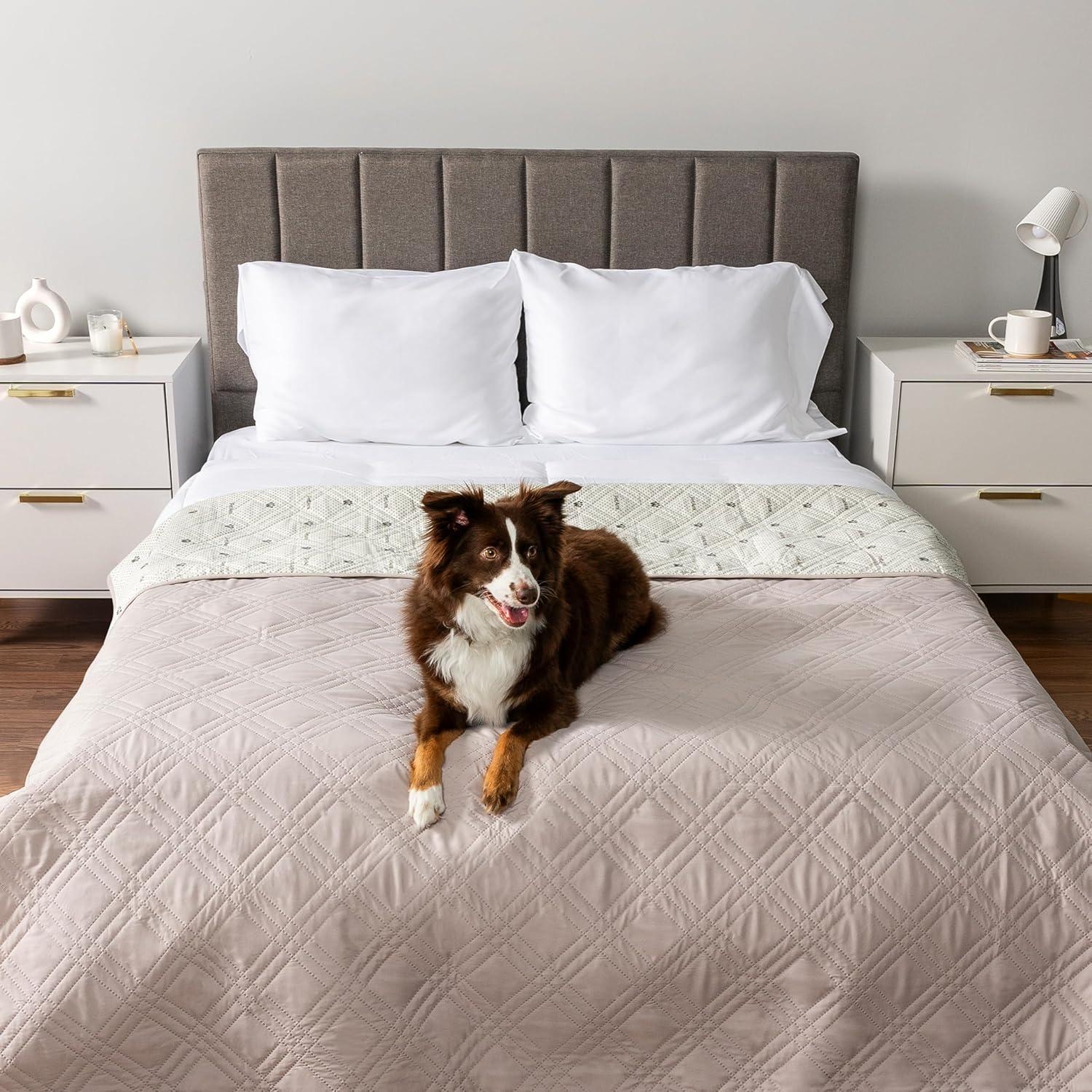 PetAmi Polyester Pet Blanket